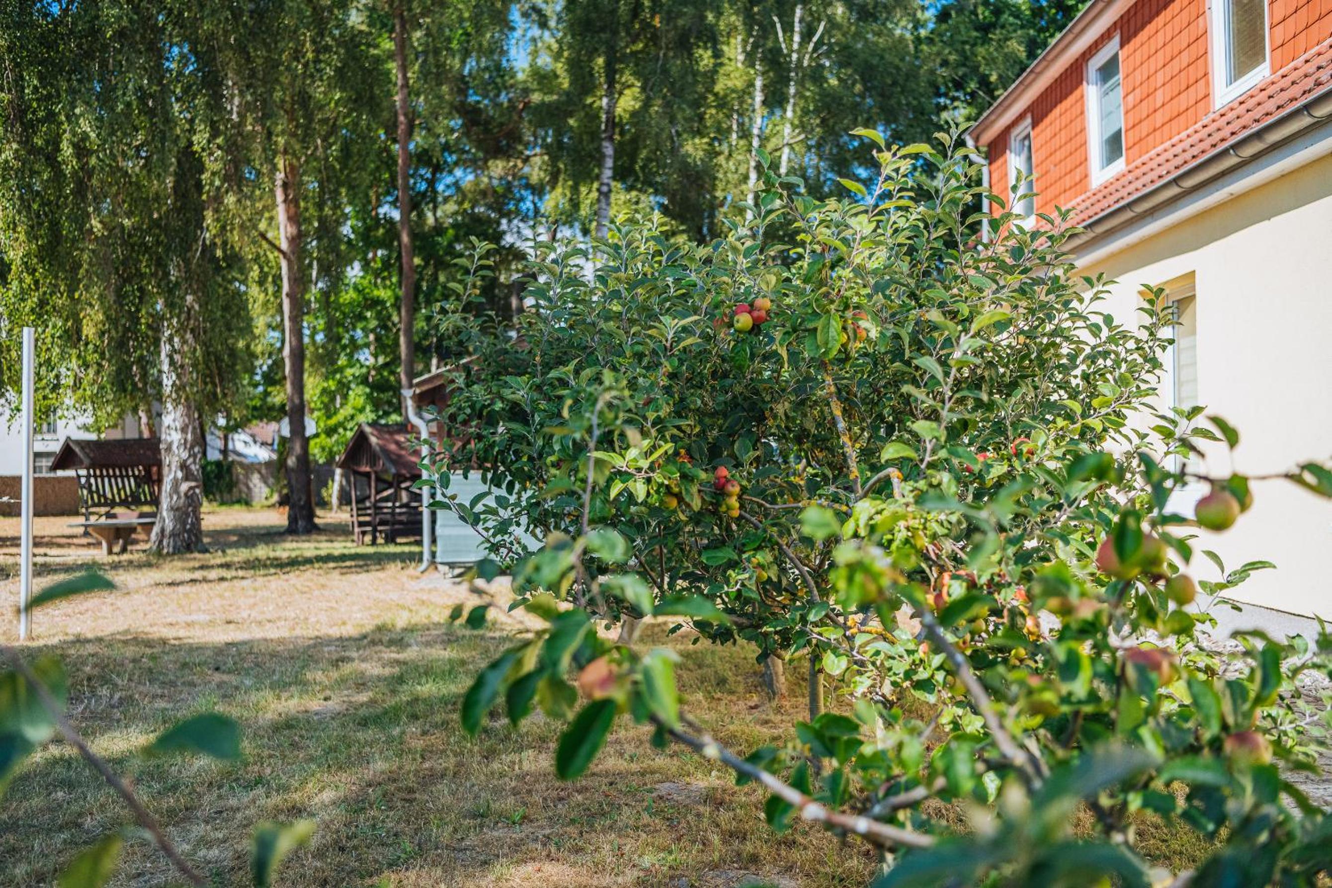 XXL Ferienhaus Dierhagen Strand