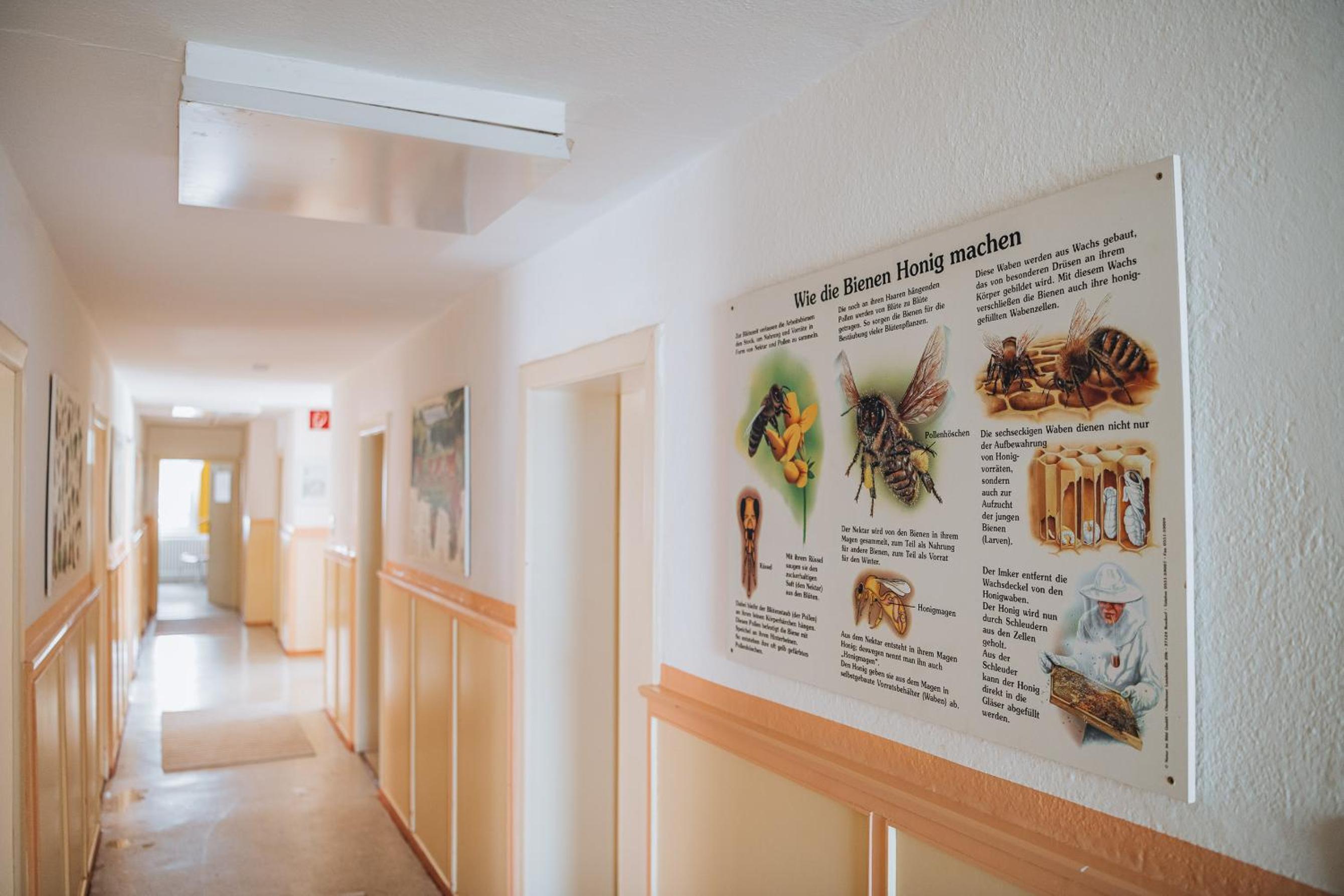XXL Ferienhaus Dierhagen Strand