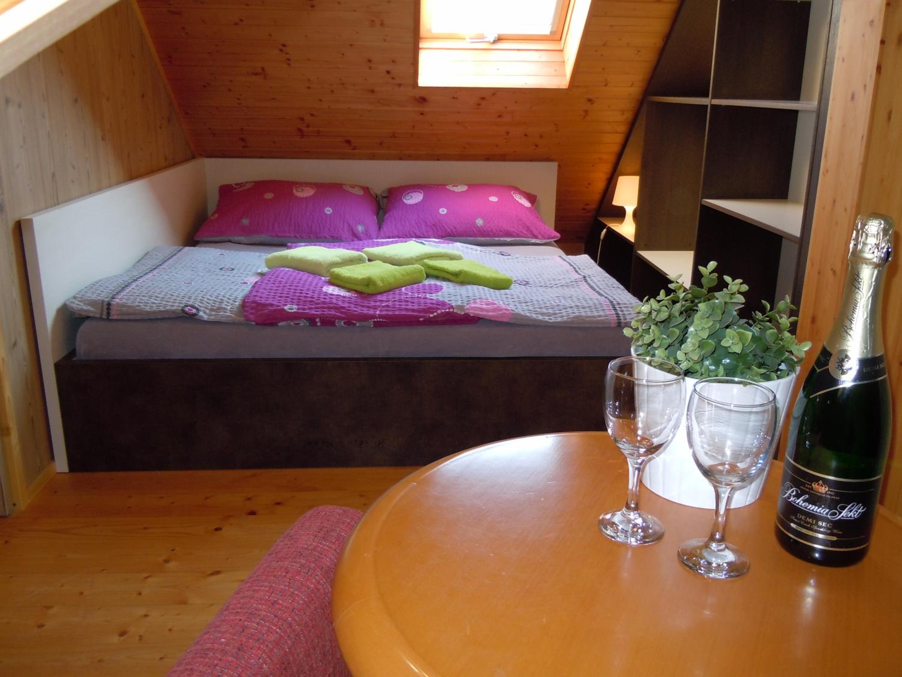 Apartment WELLNESS Vlčková
