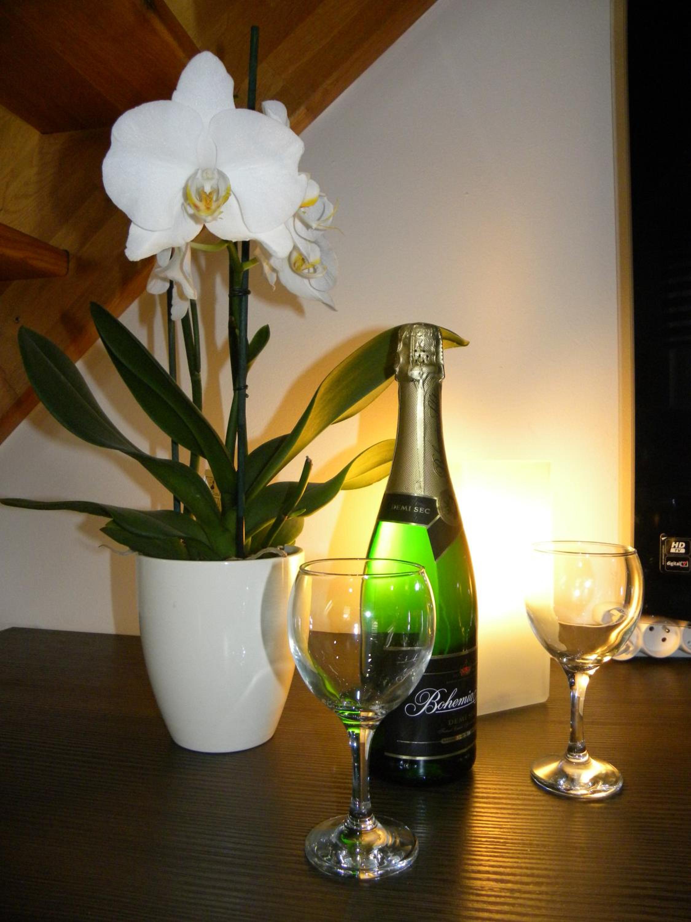 Apartment WELLNESS Vlčková