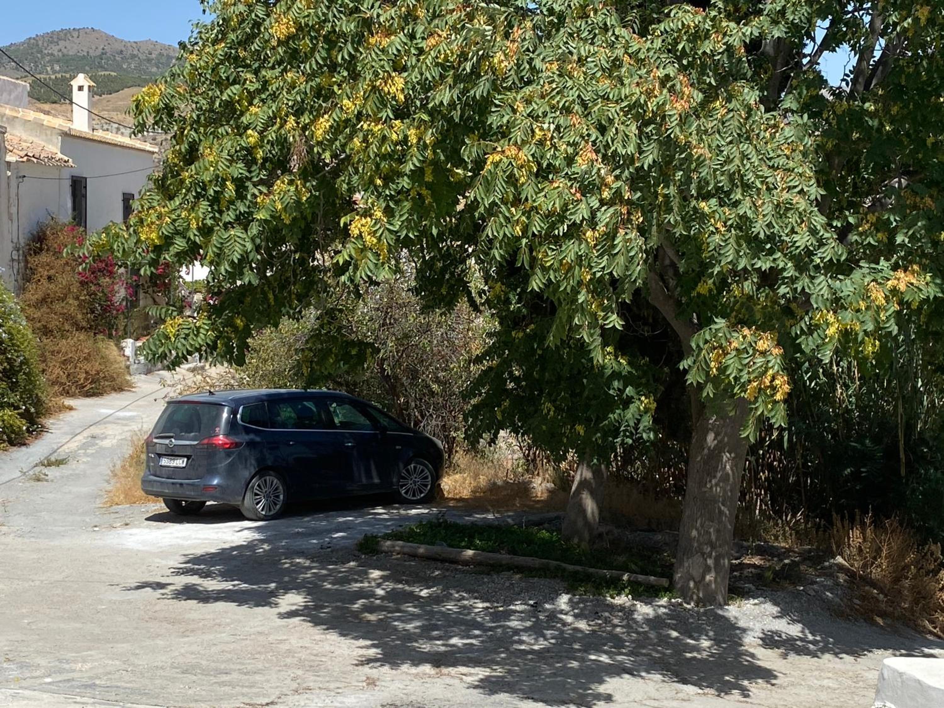 B&B Los Lujos view 2