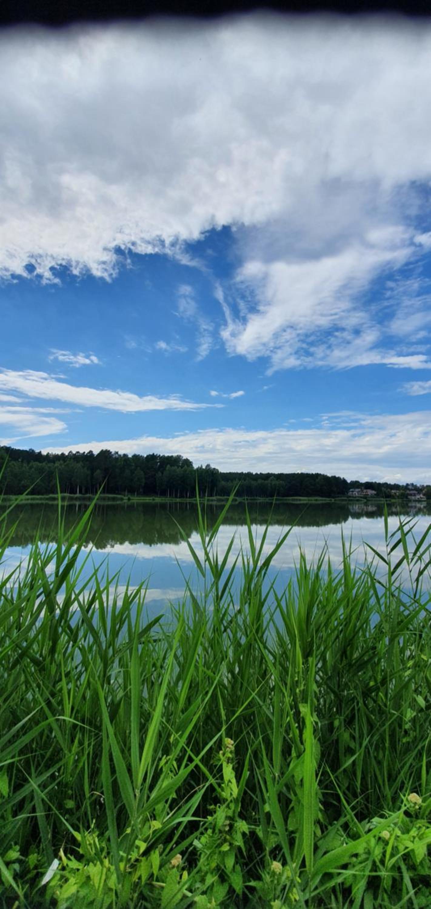 Relax Inn Druskininkai view 5
