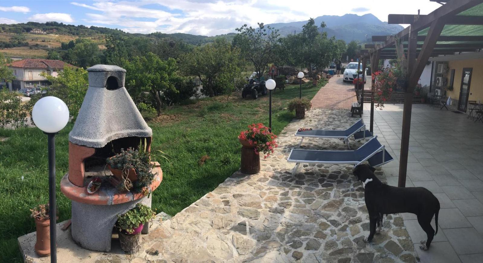 casa nostra photo 4
