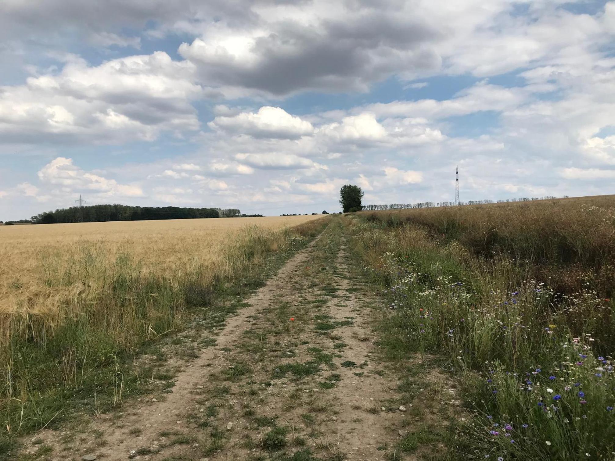 Ferienwohnung Pappelwiese en Weimar — other