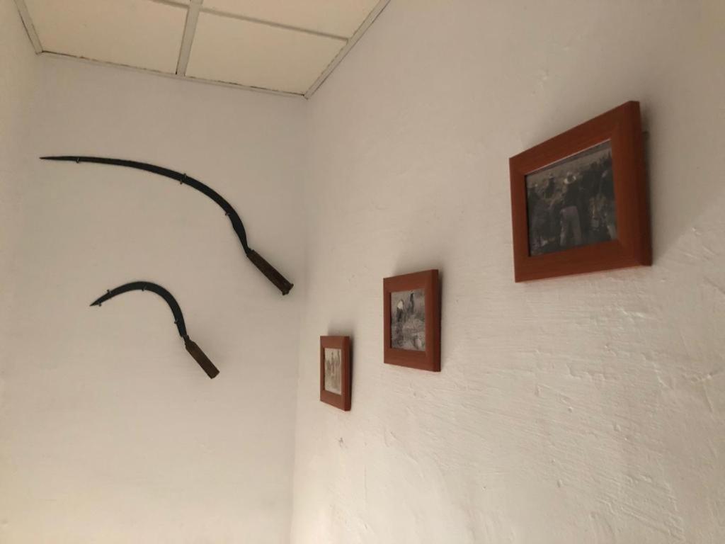 Photo 33