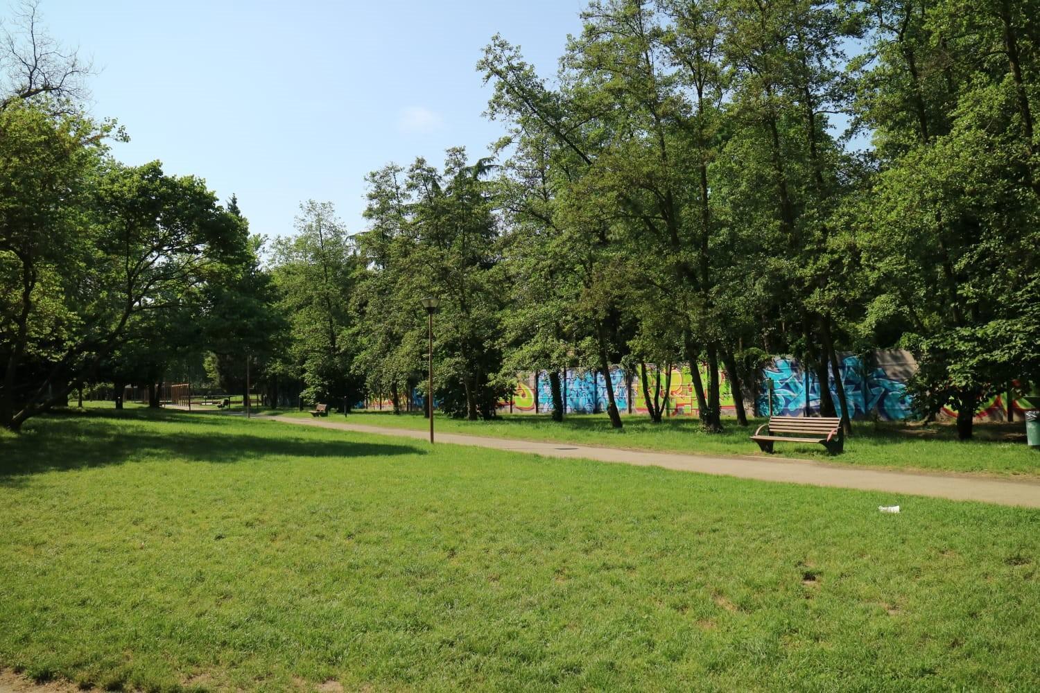 Photo 7