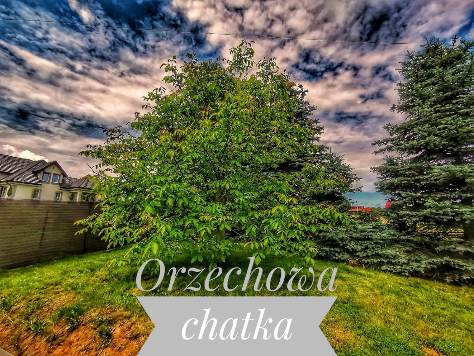 Photo 33