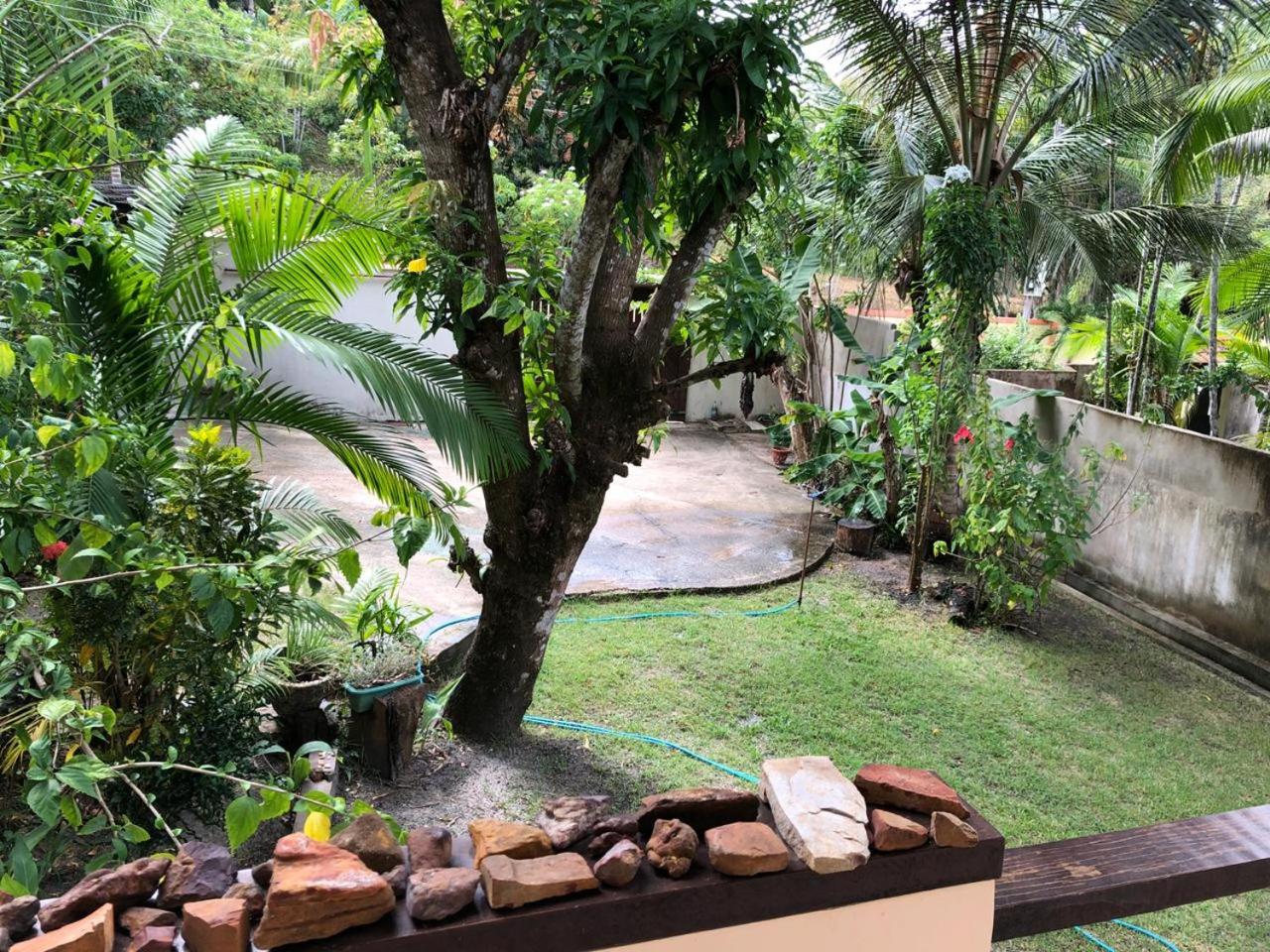 Casa em Alter do chão - lago verde