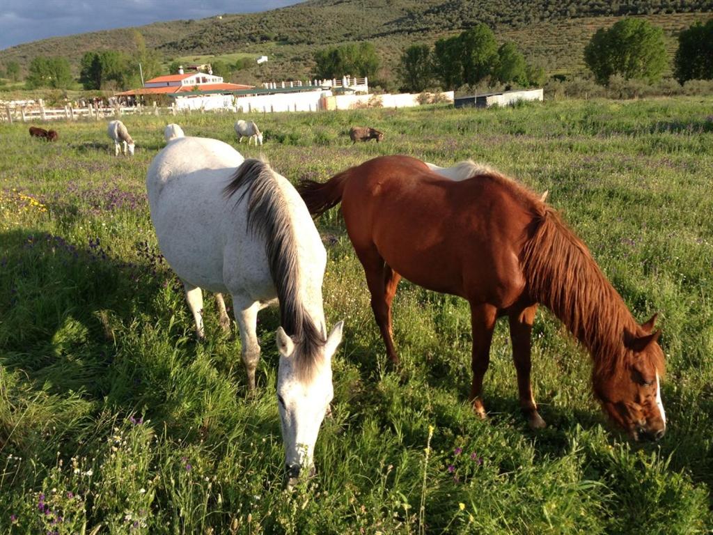 Hotel Rural Finca La Herencia