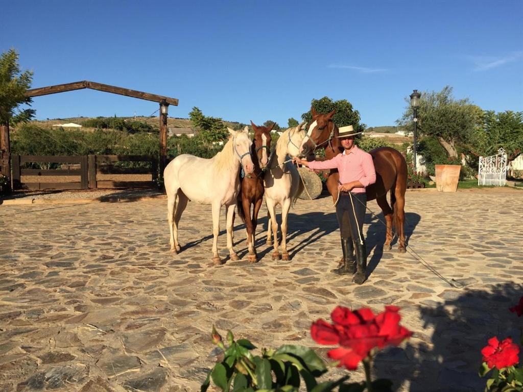Hotel Rural Finca La Herencia