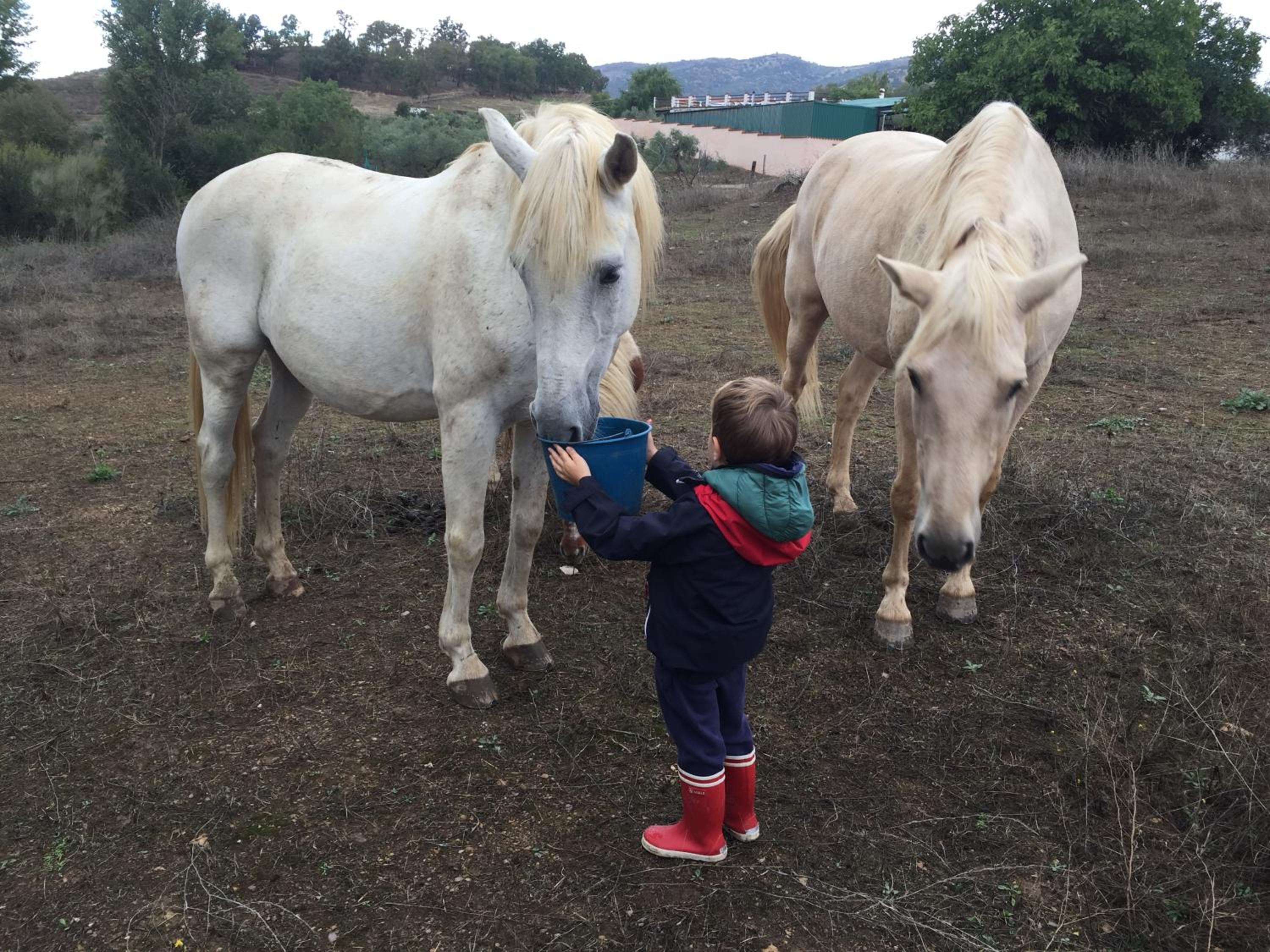 Hotel Rural Finca La Herencia