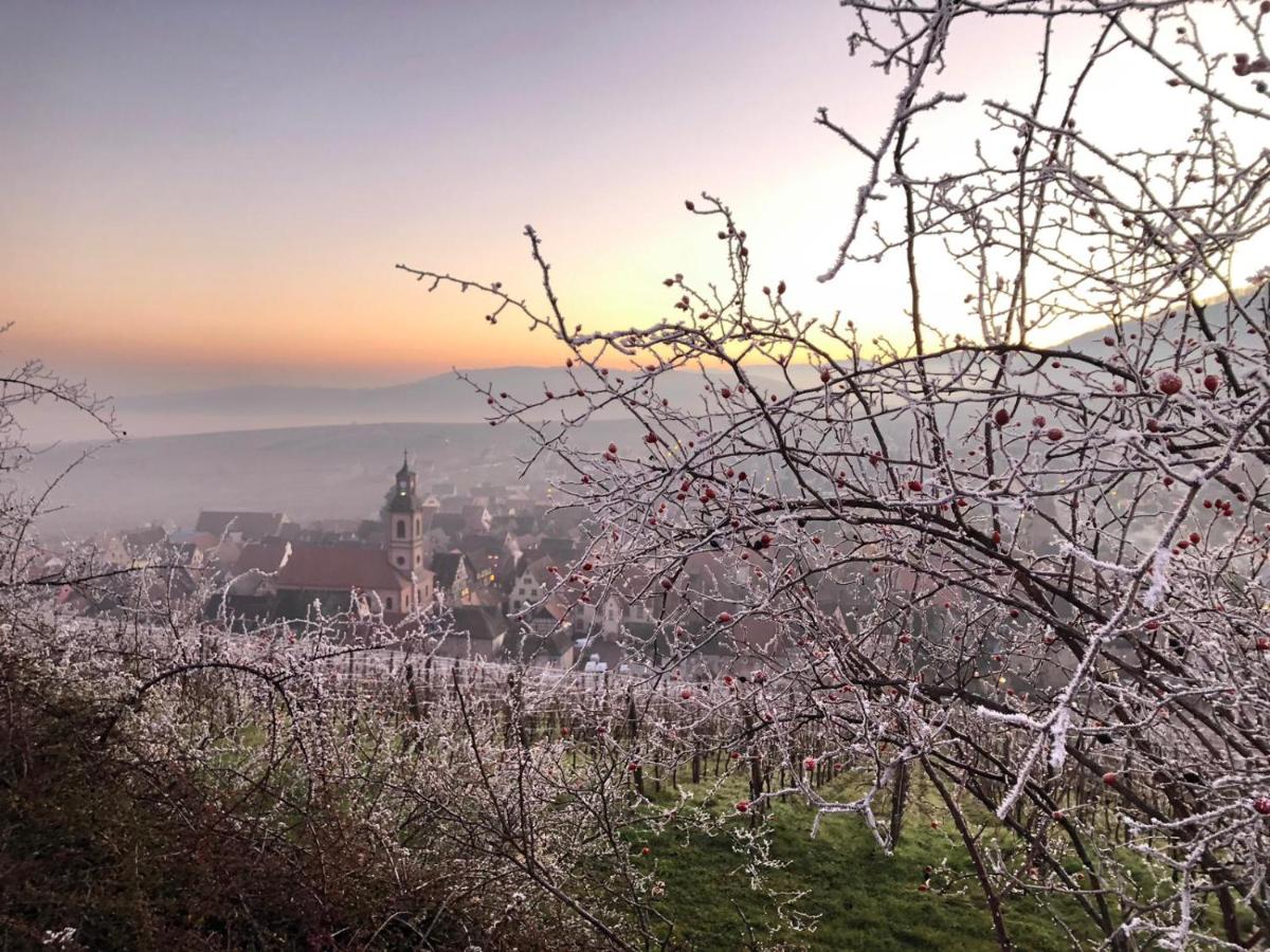 Les Gîtes Coeur de Vigne view 2