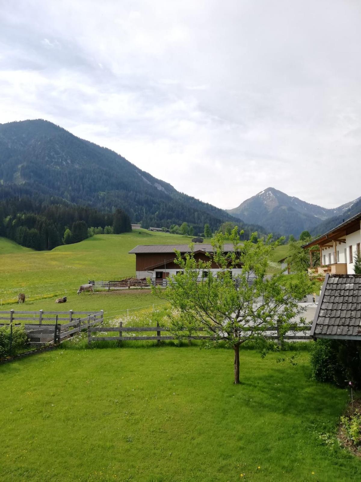 Ferienhaus Auerbauer