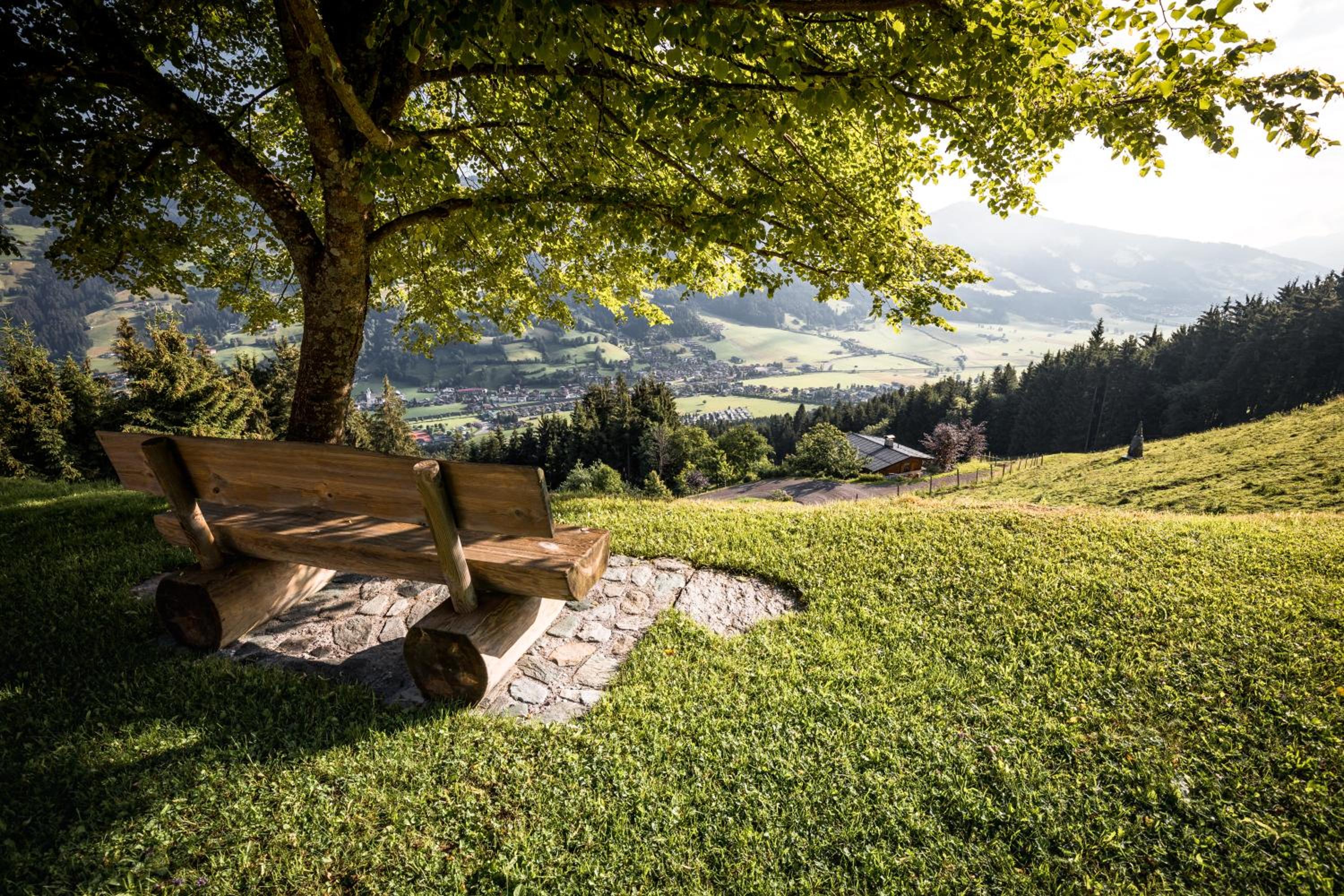 Ferienhaus Auerbauer