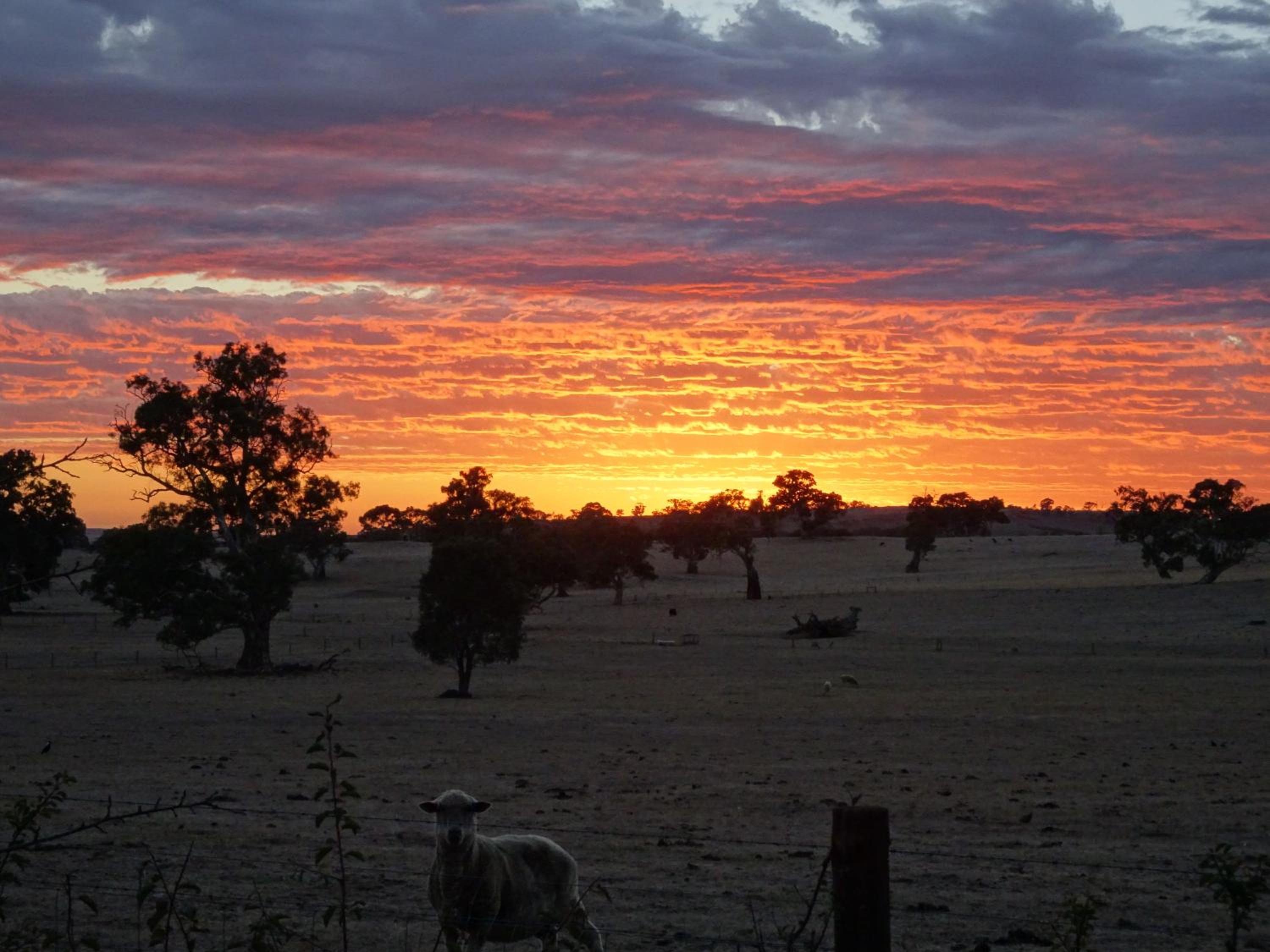 Meander Retreat - King Suite with rural views