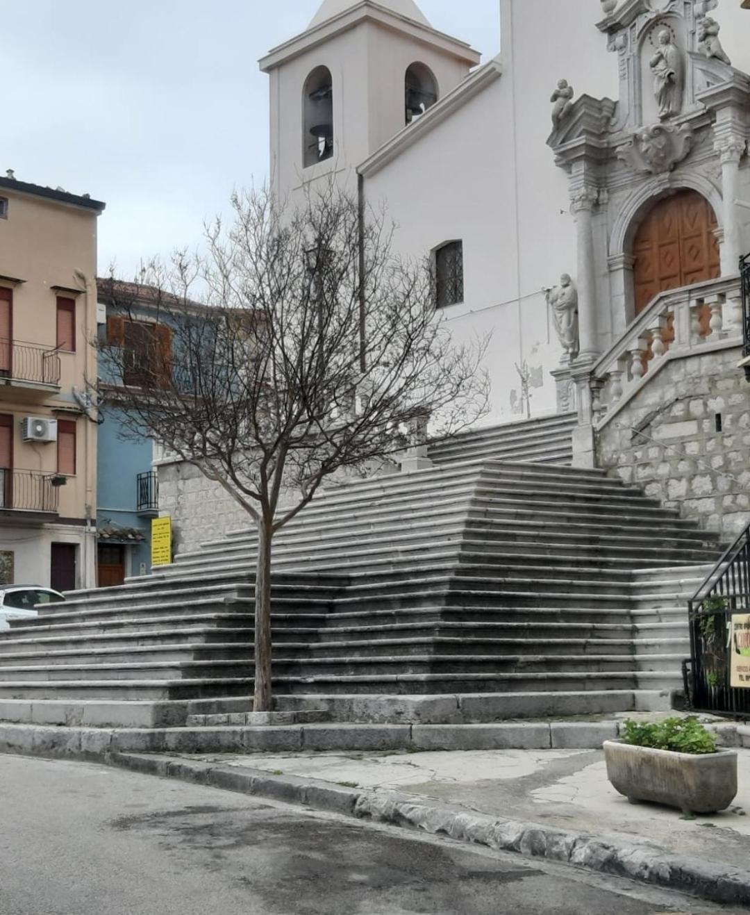 GUEST HOUSE PIANA DEGLI ALBANESI, photo 41