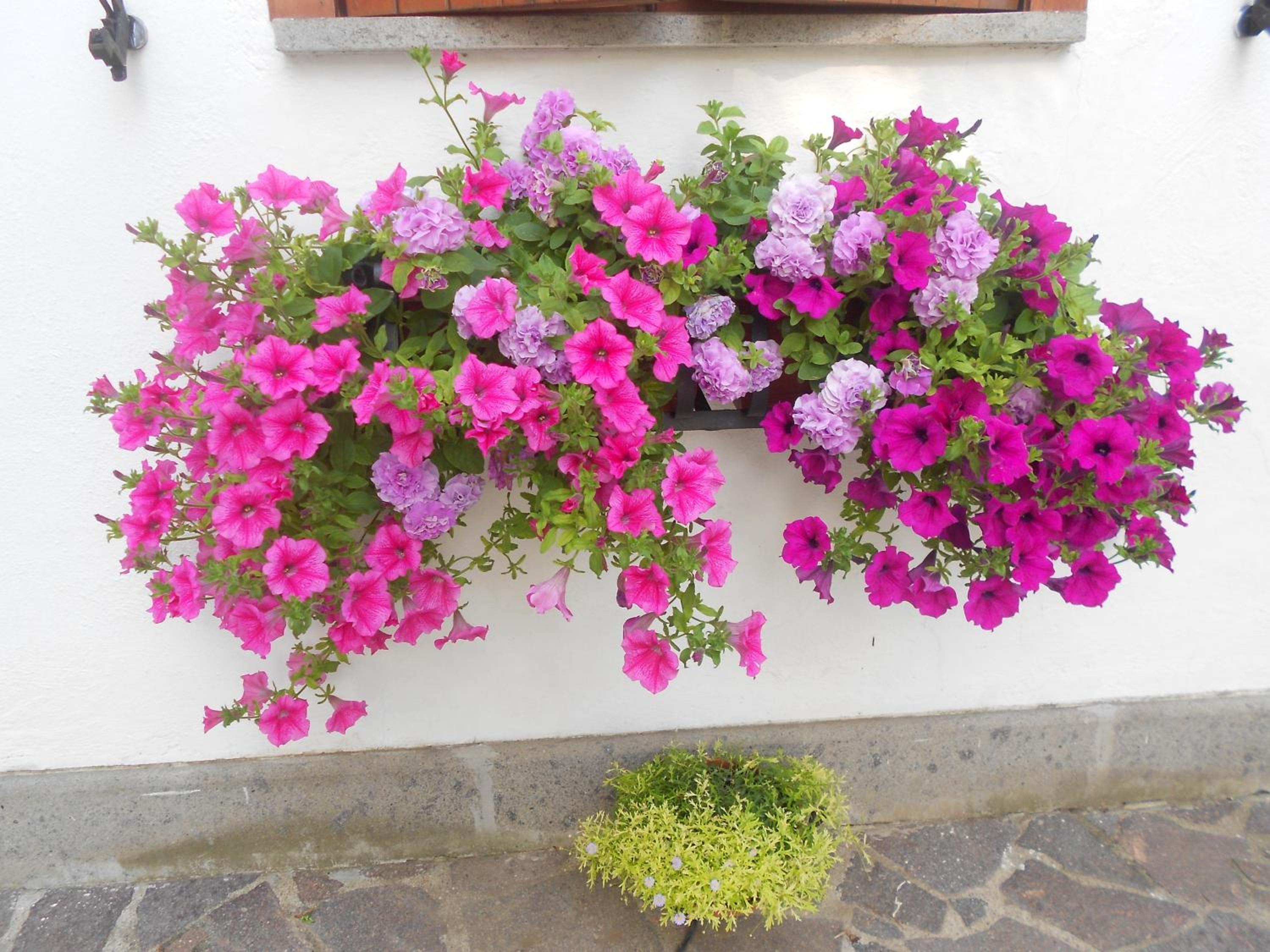 B&B La Quercia