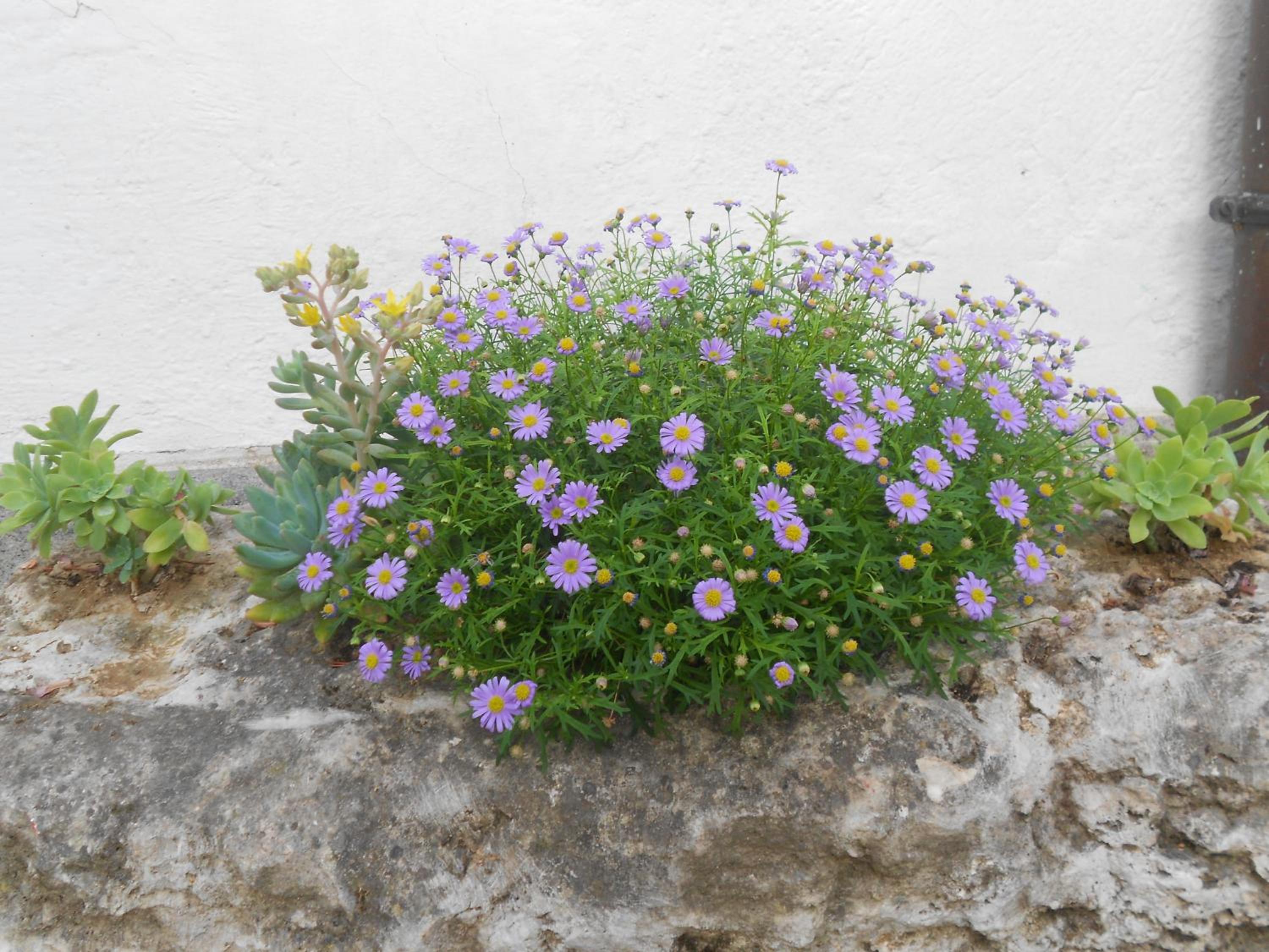 B&B La Quercia