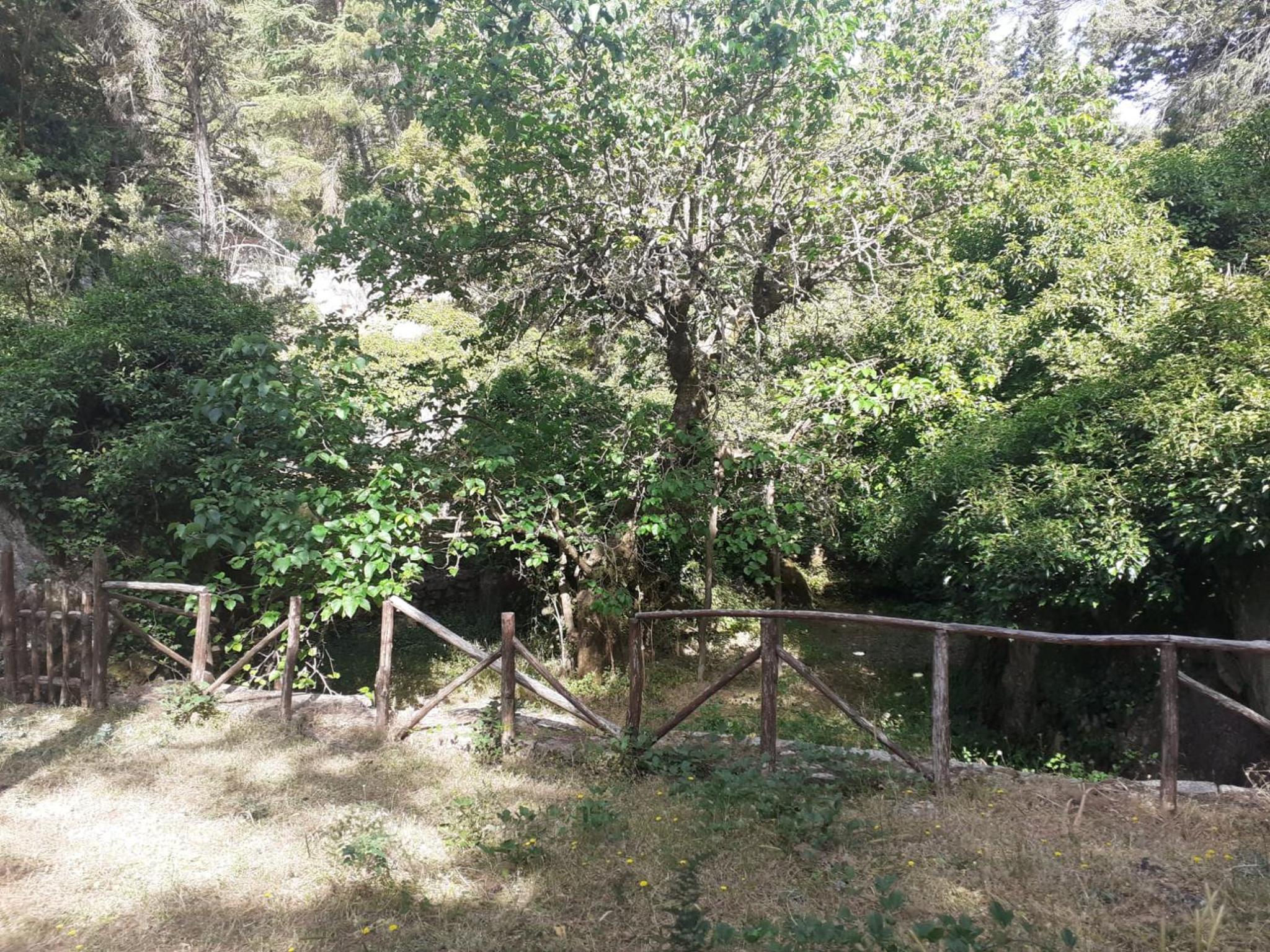 GUEST HOUSE PIANA DEGLI ALBANESI, photo 12