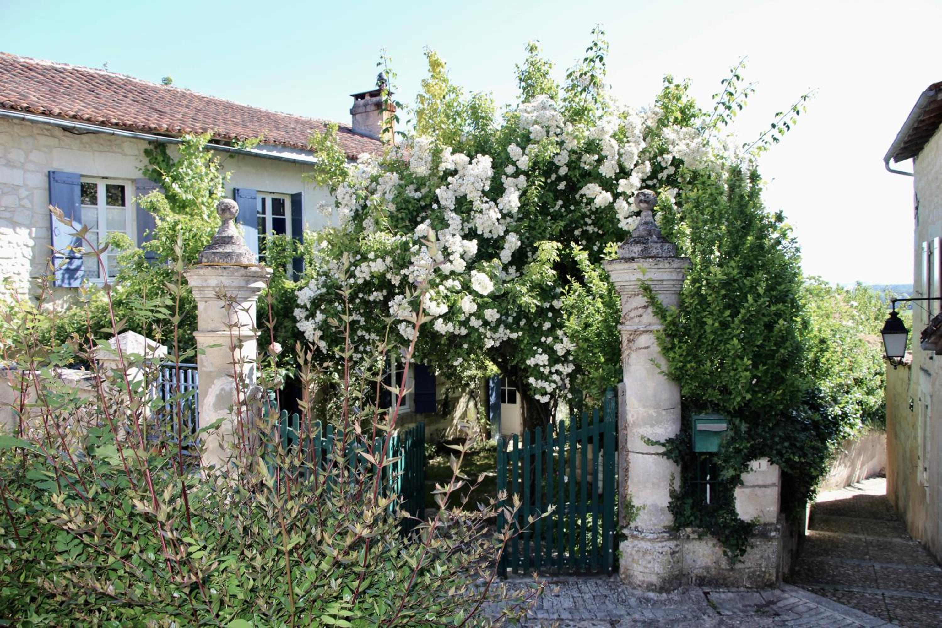 Photo 13
