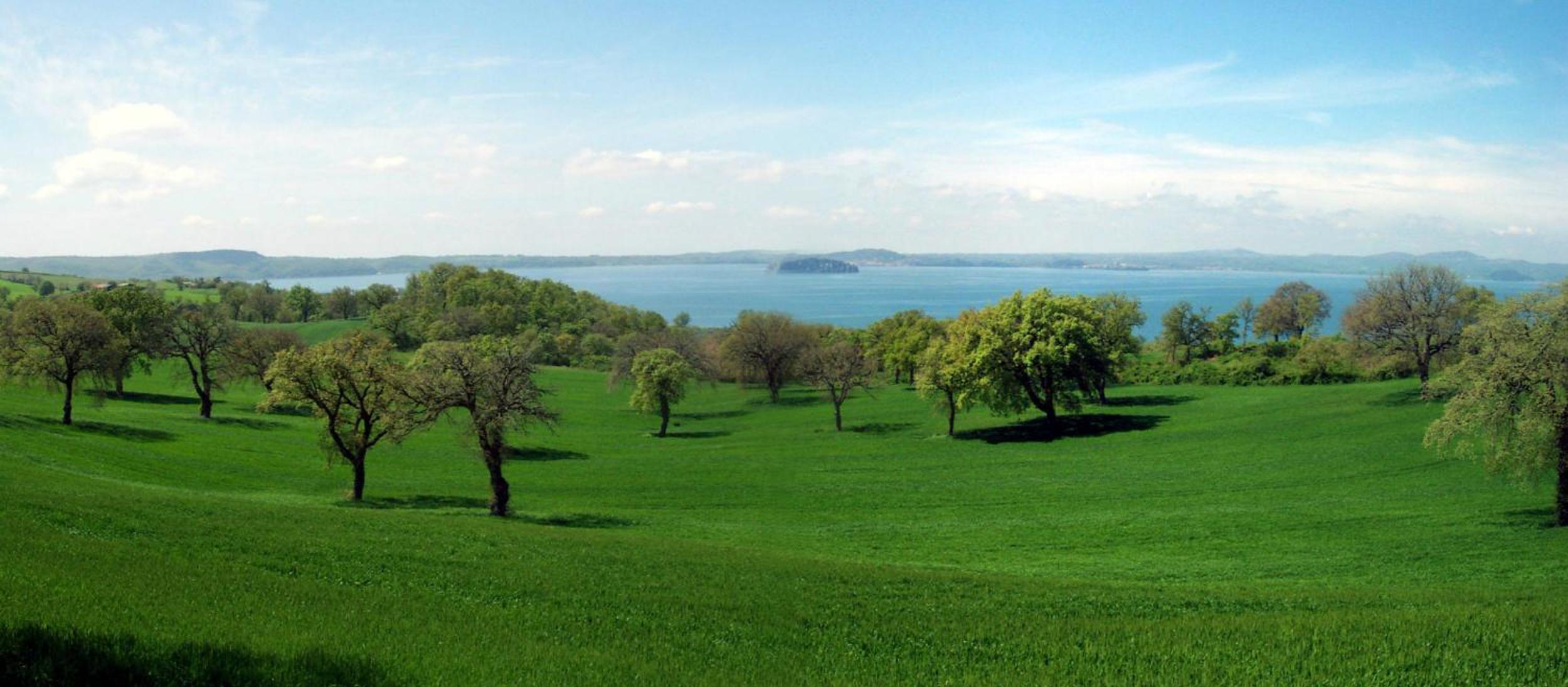 Agriturismo Antica Cassia