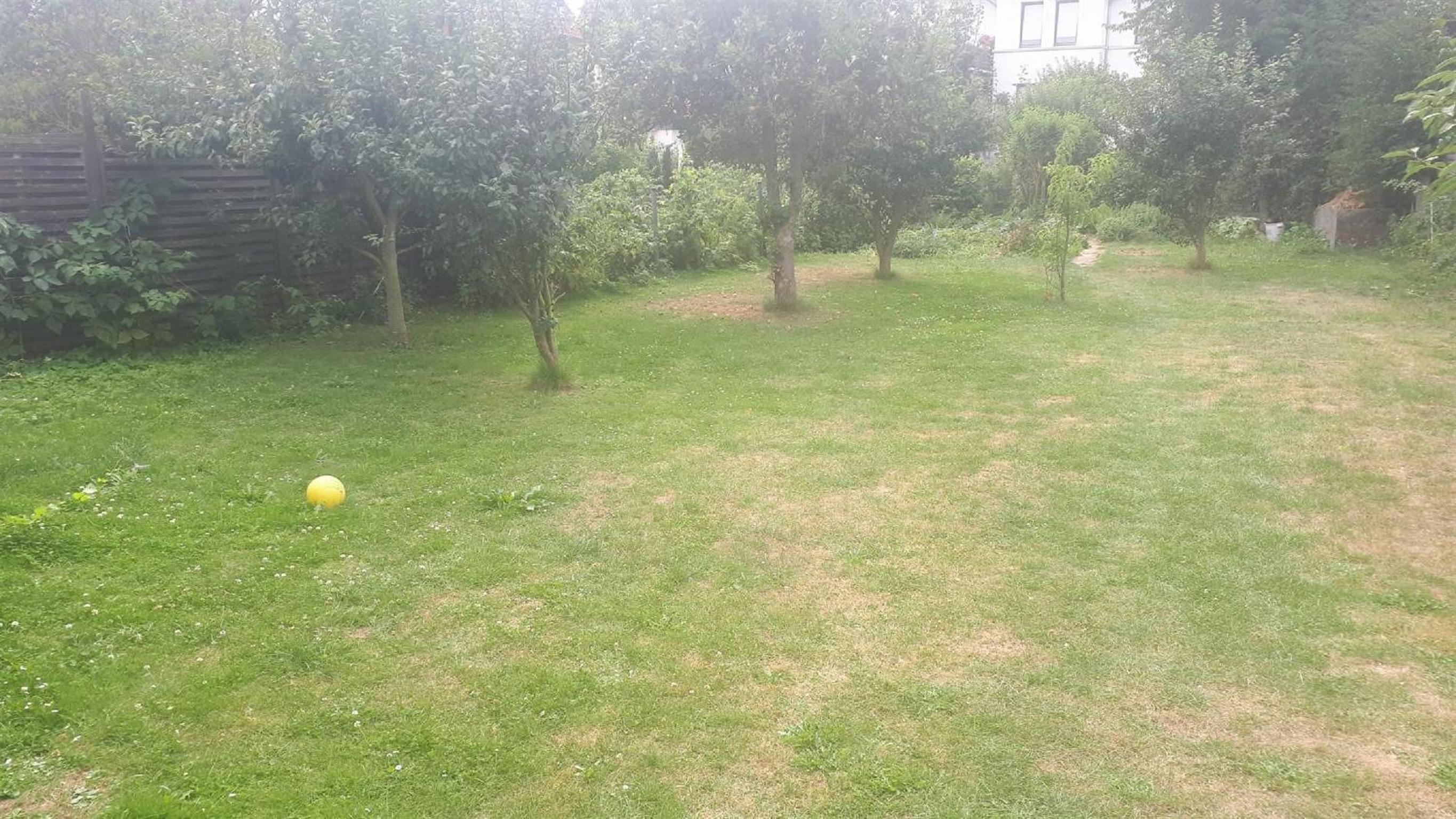 Photo 32