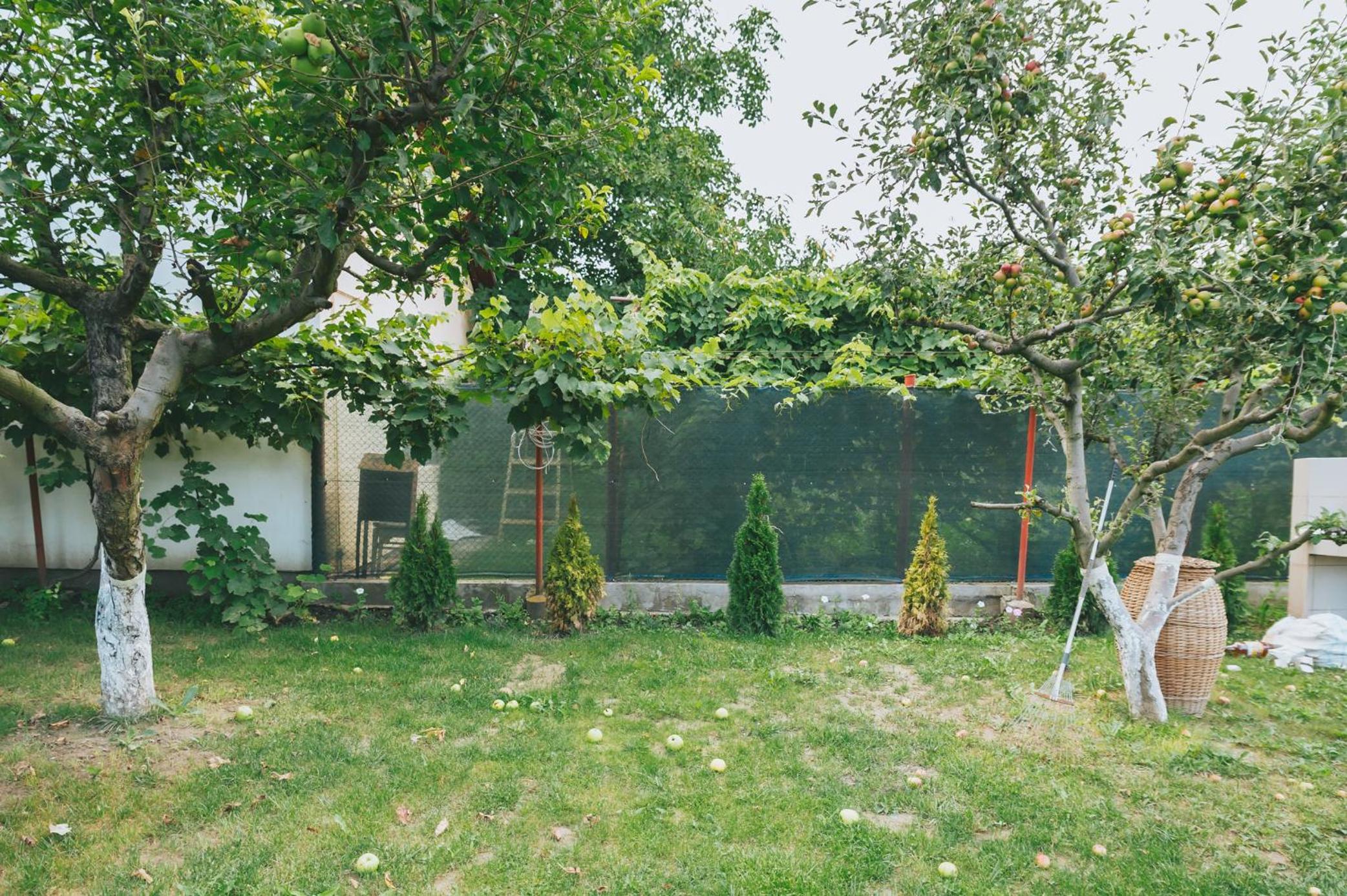 Photo 51