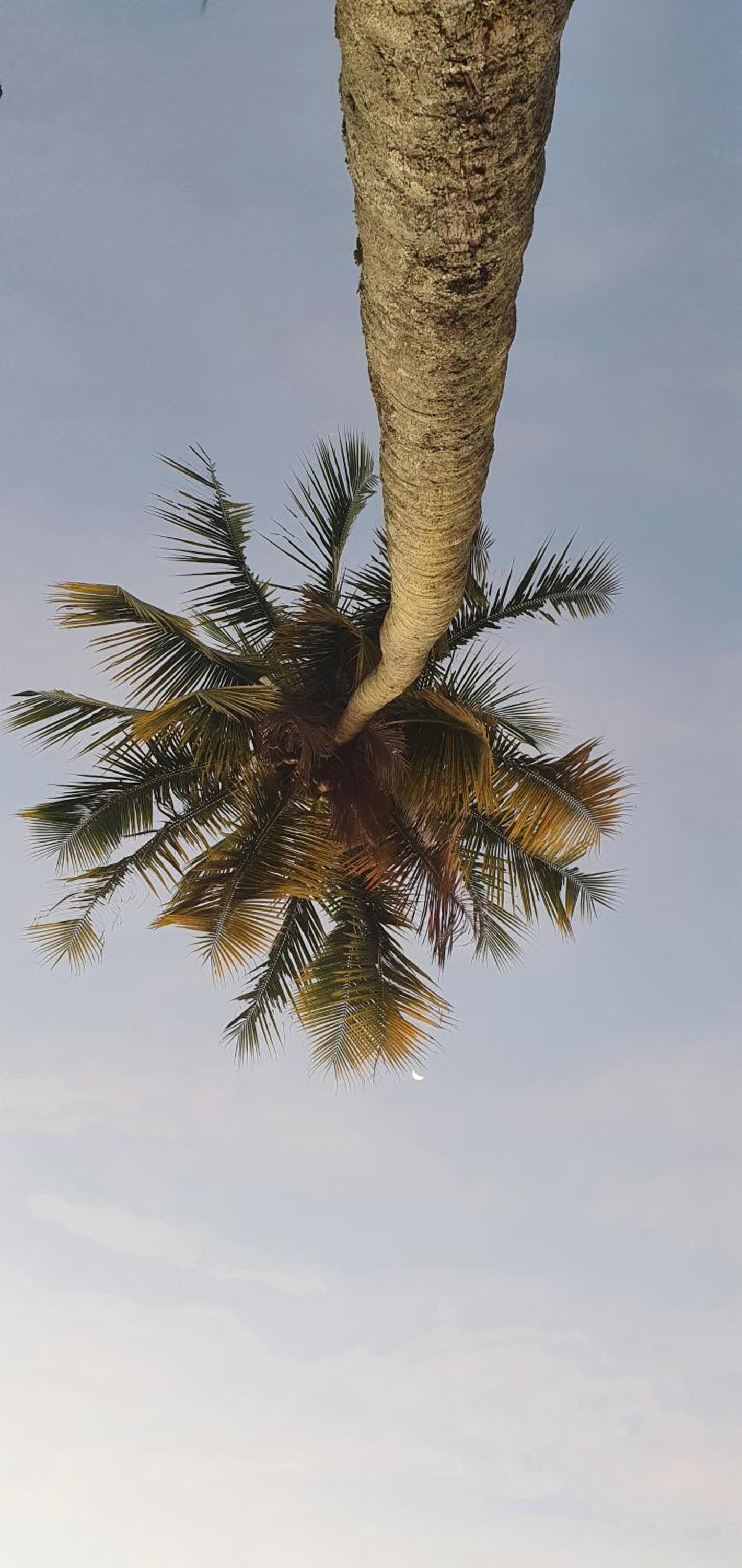 other