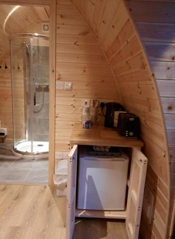 Bwlcheinion Sea View Glamping view 5