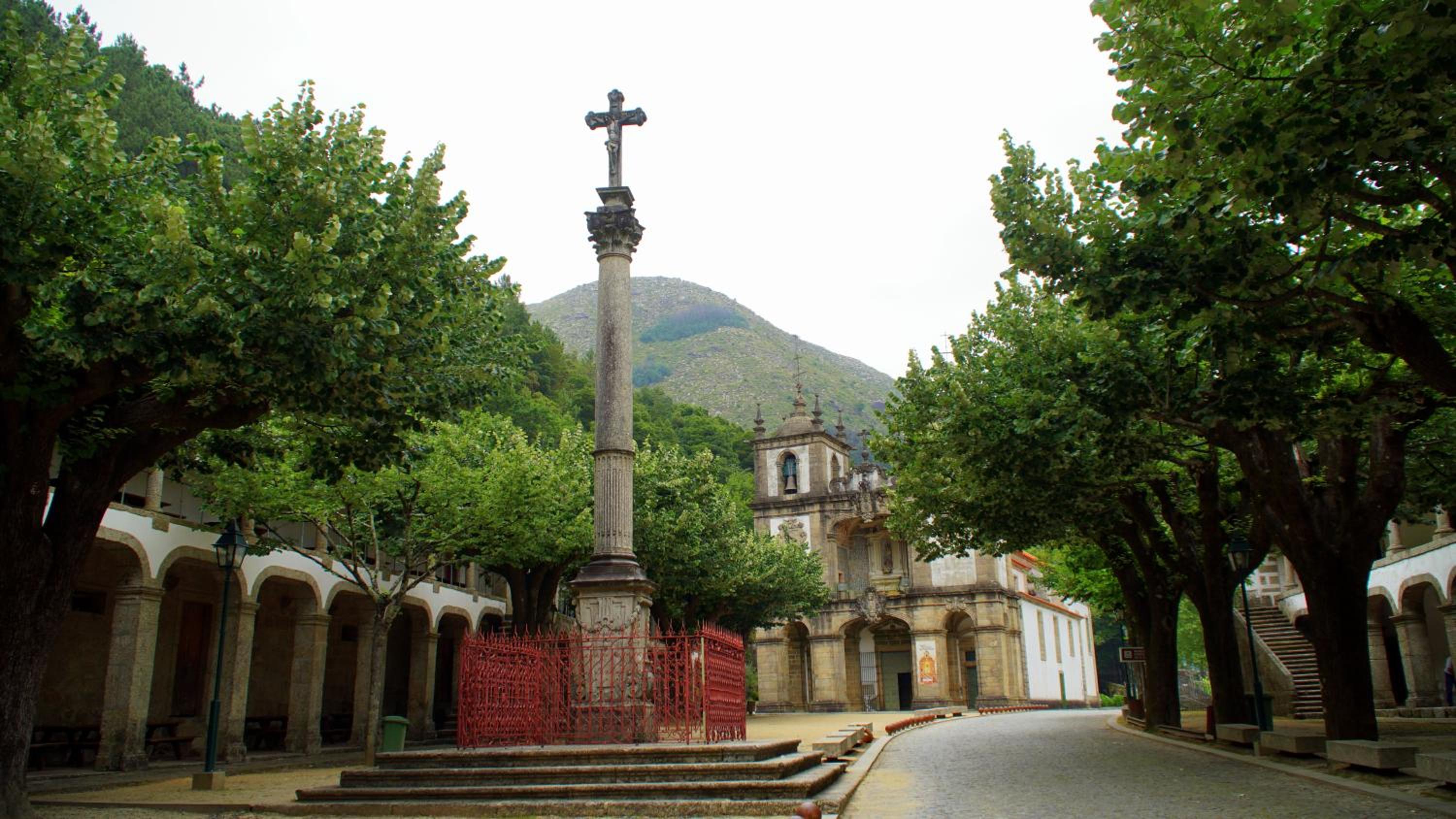 Photo 43