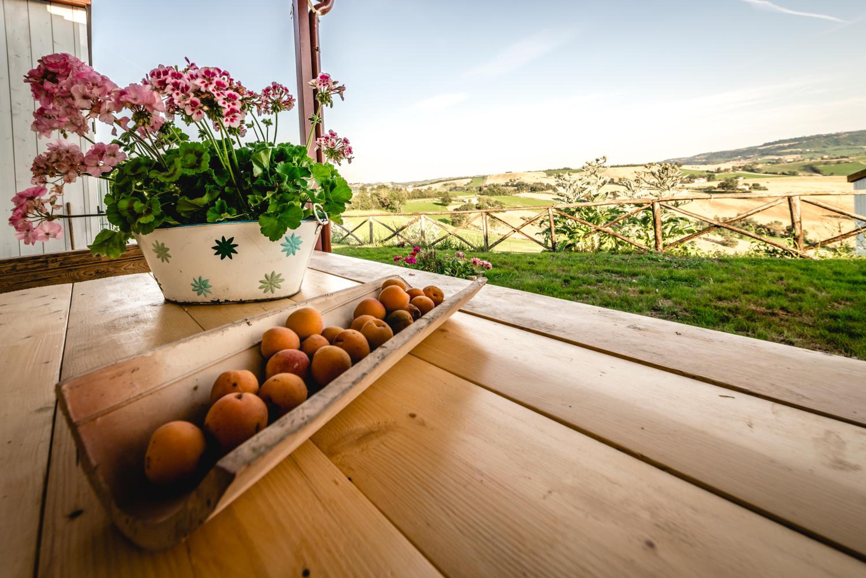 Colle Regnano view 5