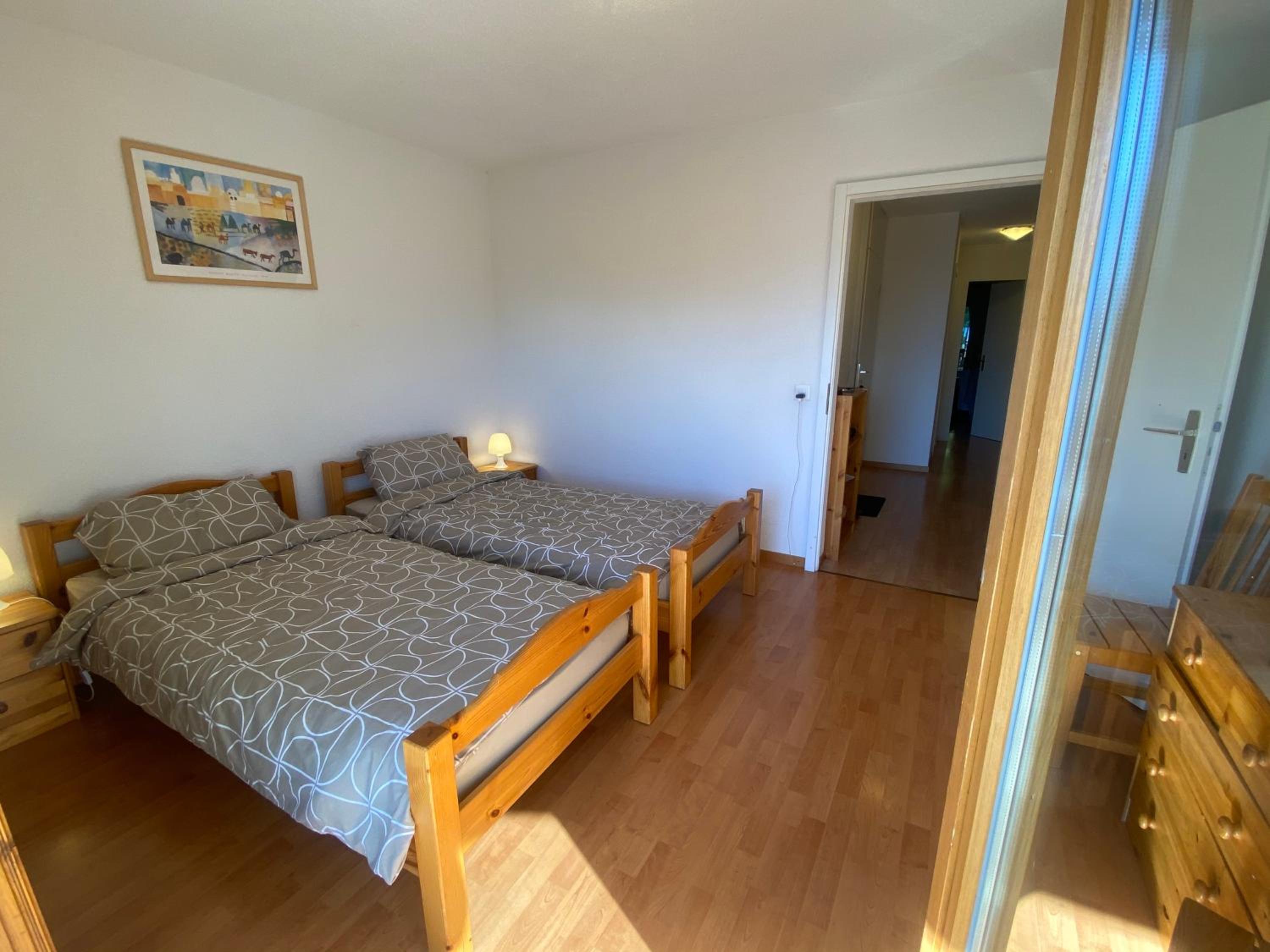 Alpine apartment in Swiss village of Torgon view 3