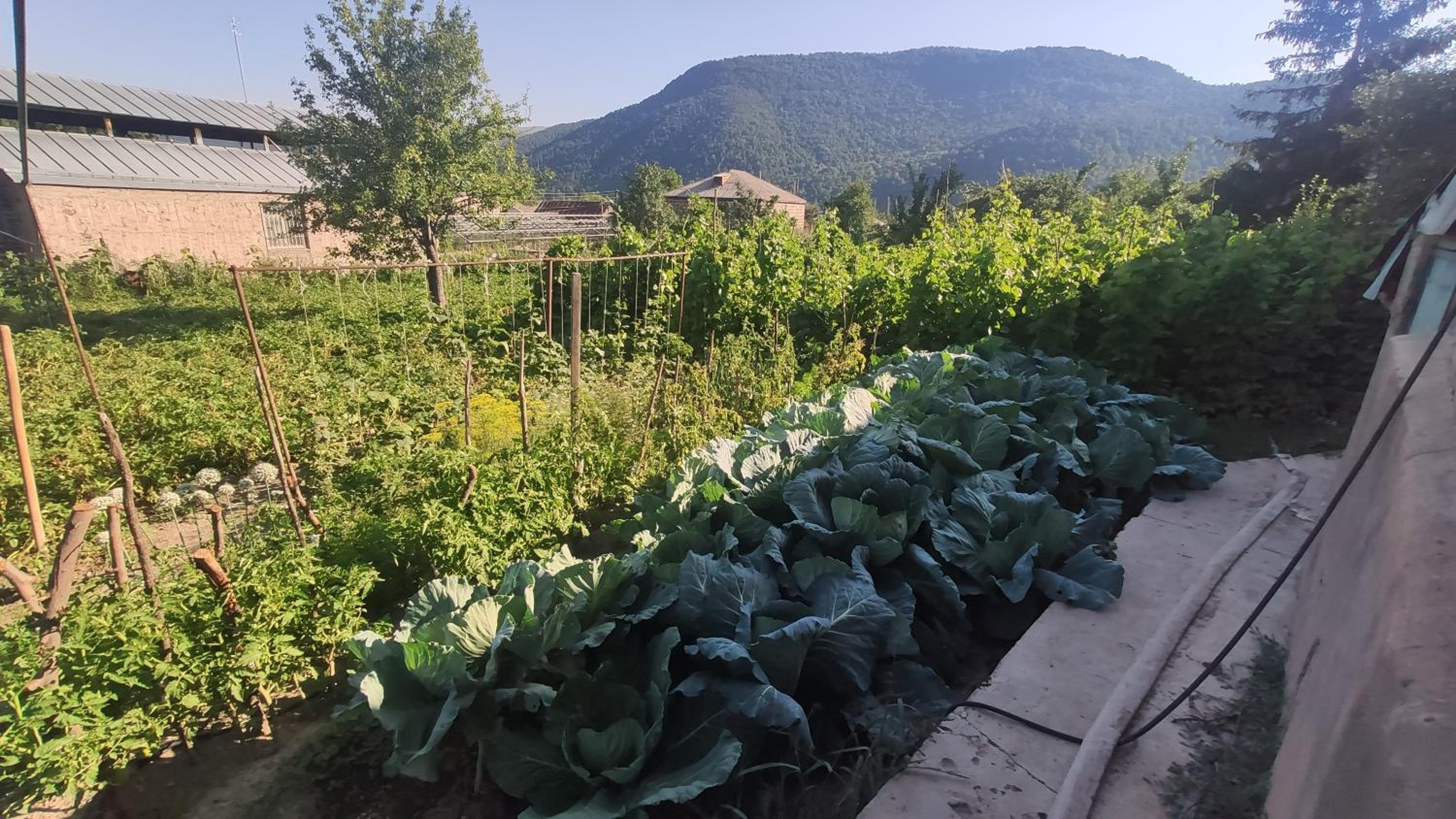 Eco Guest House Meghradzor