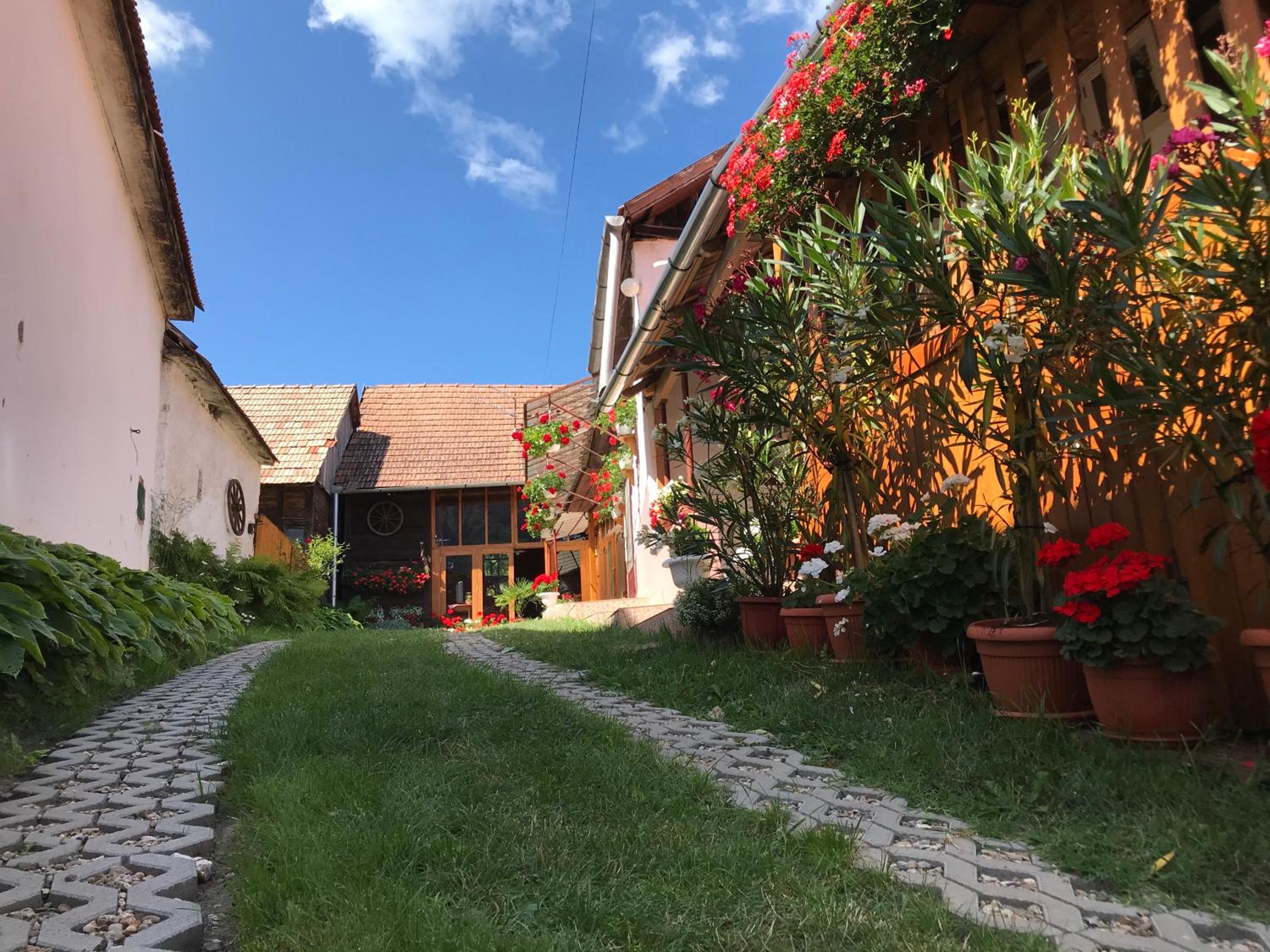 Casa Kelemen Irén view 4