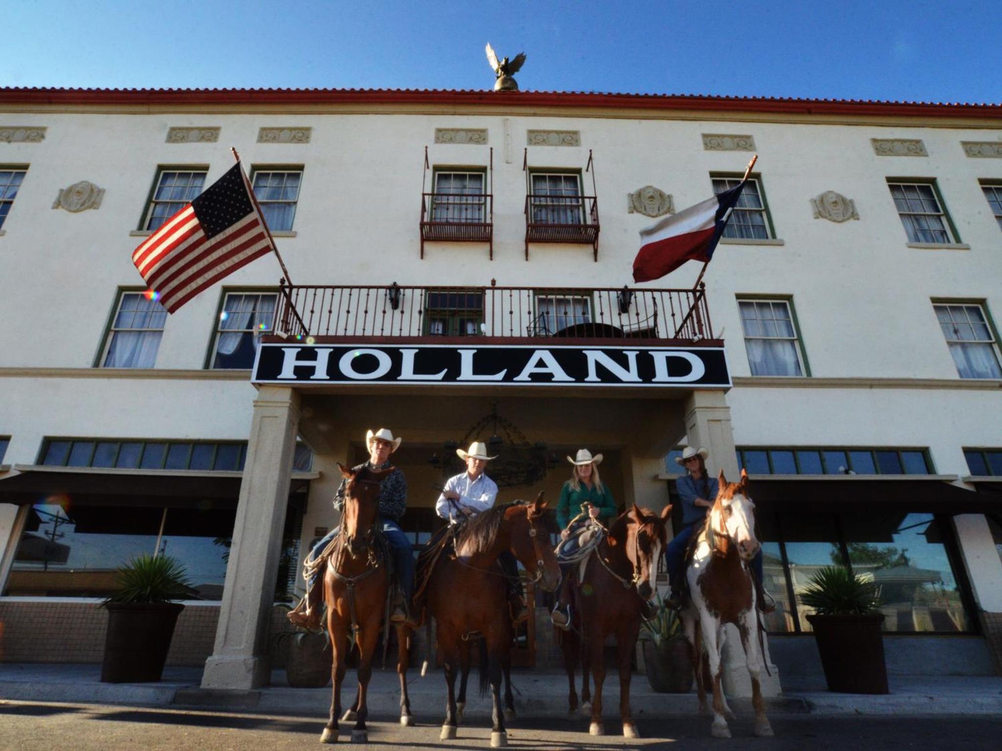 Alpine Vacations - The Holland Hotel - Property Image 15