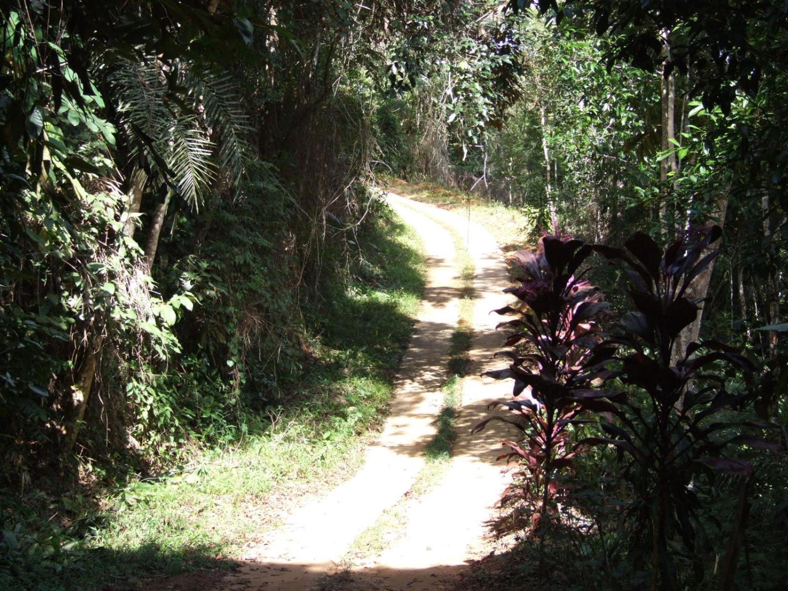 Sítio Canto das Águas