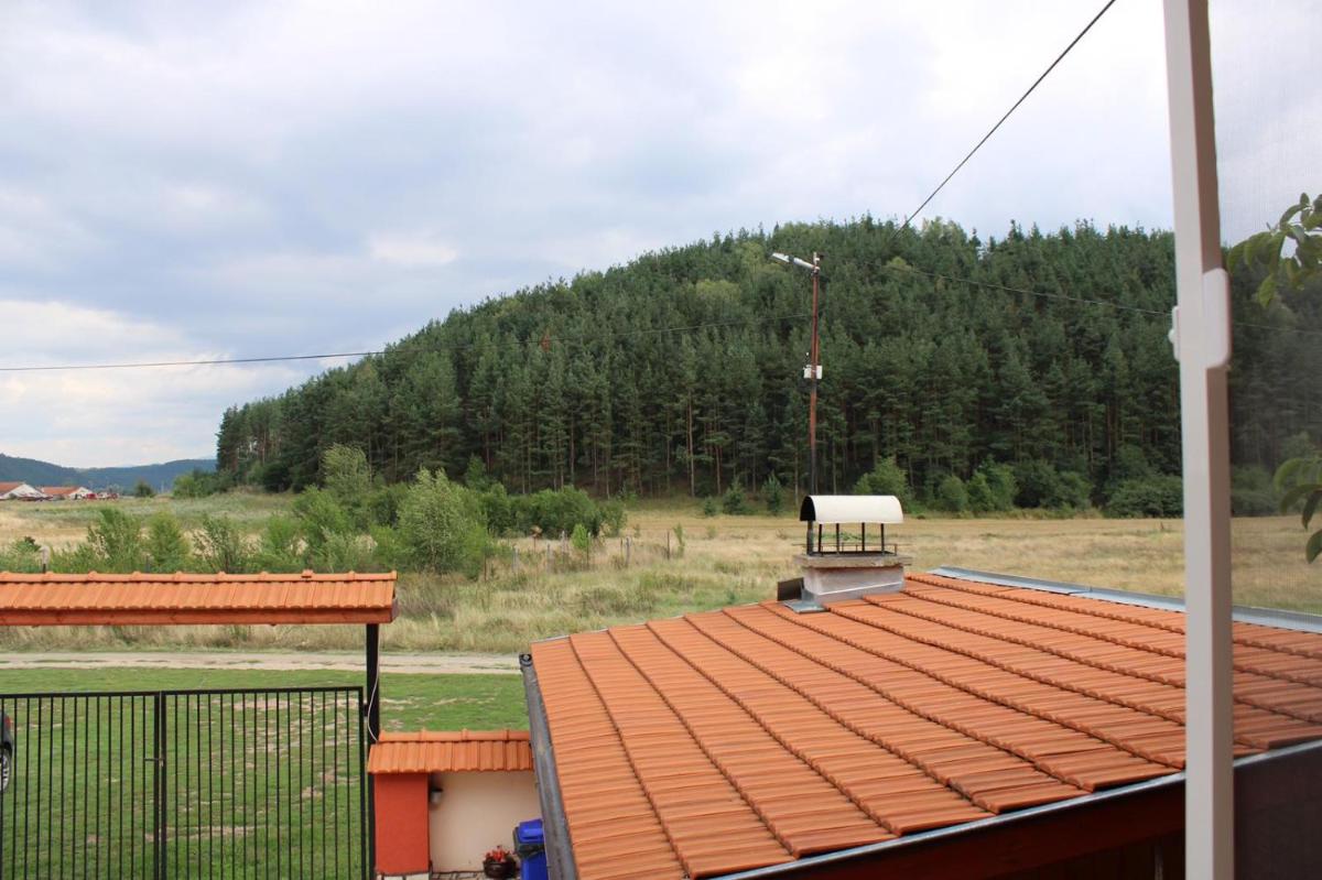 Photo 48