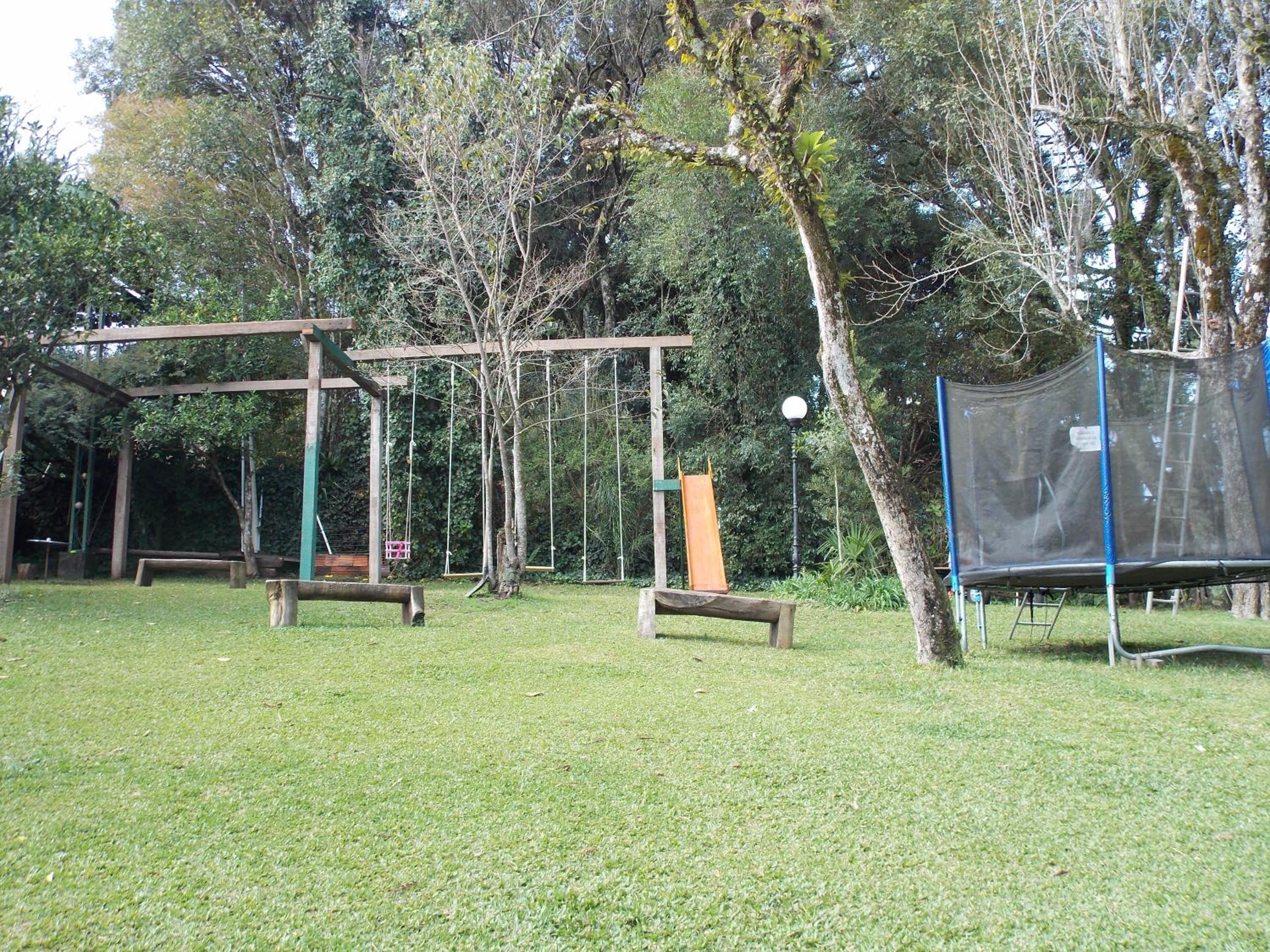 Photo 44