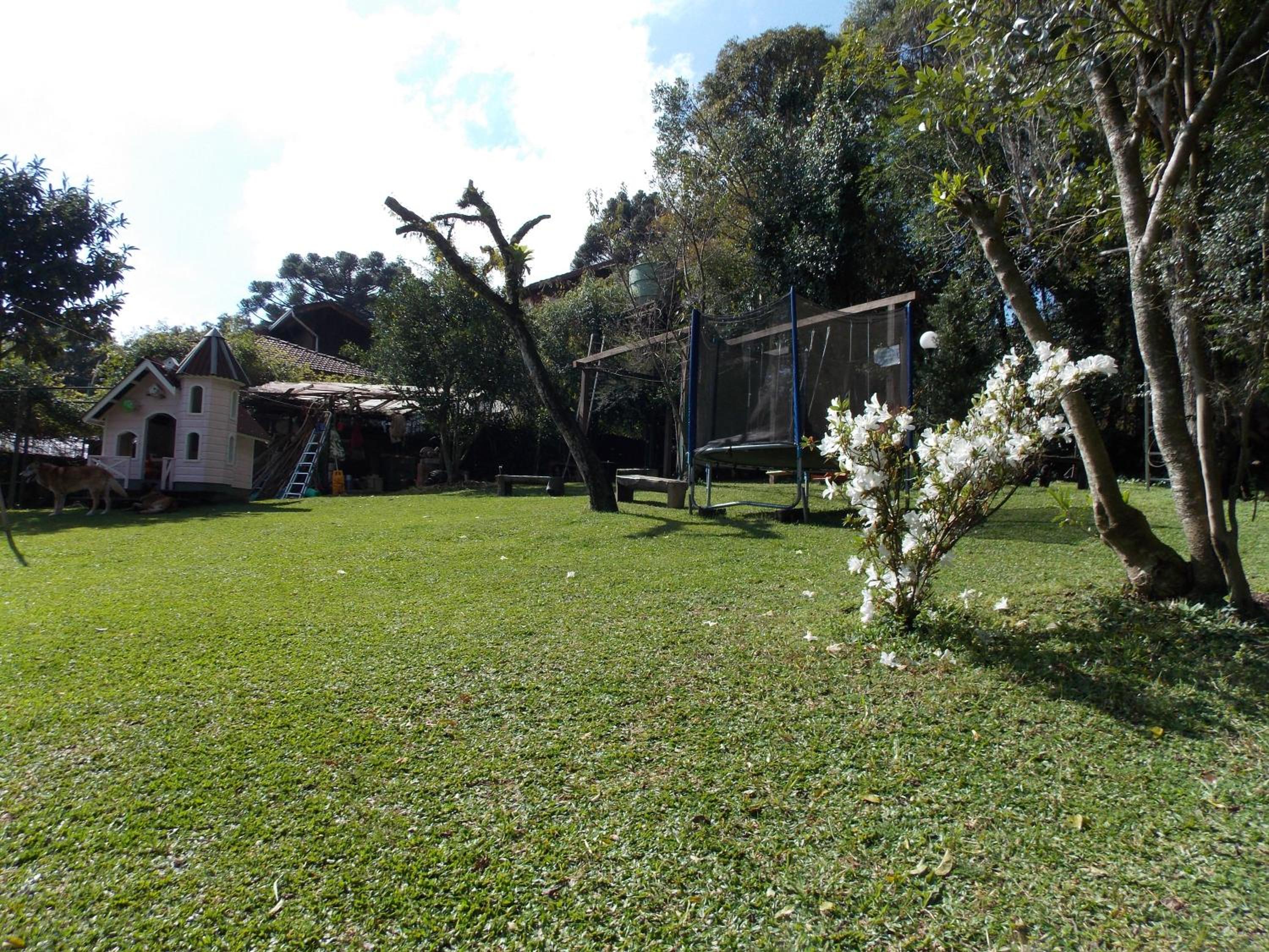 Photo 47