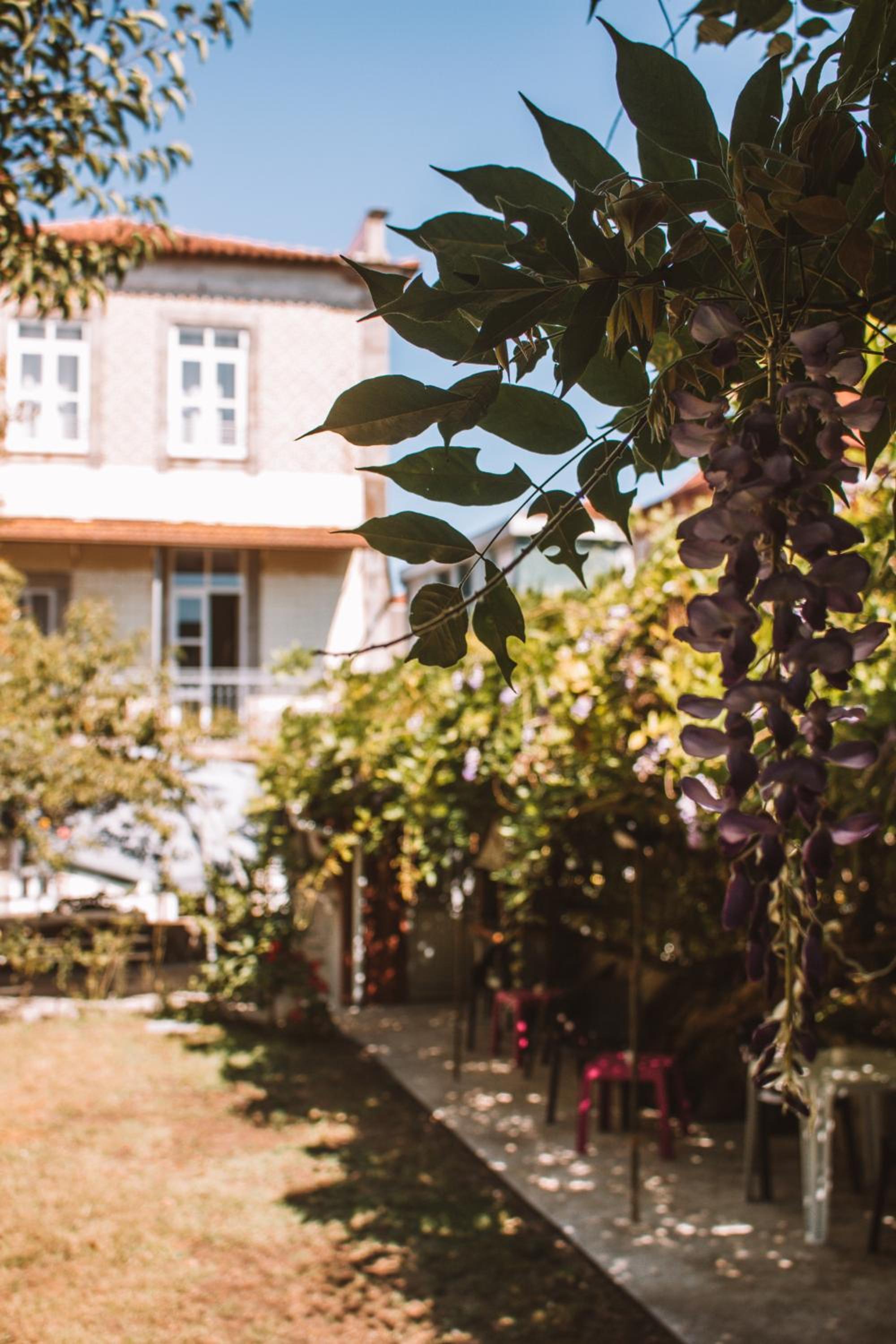 Urban Garden Porto Central Hostel 15