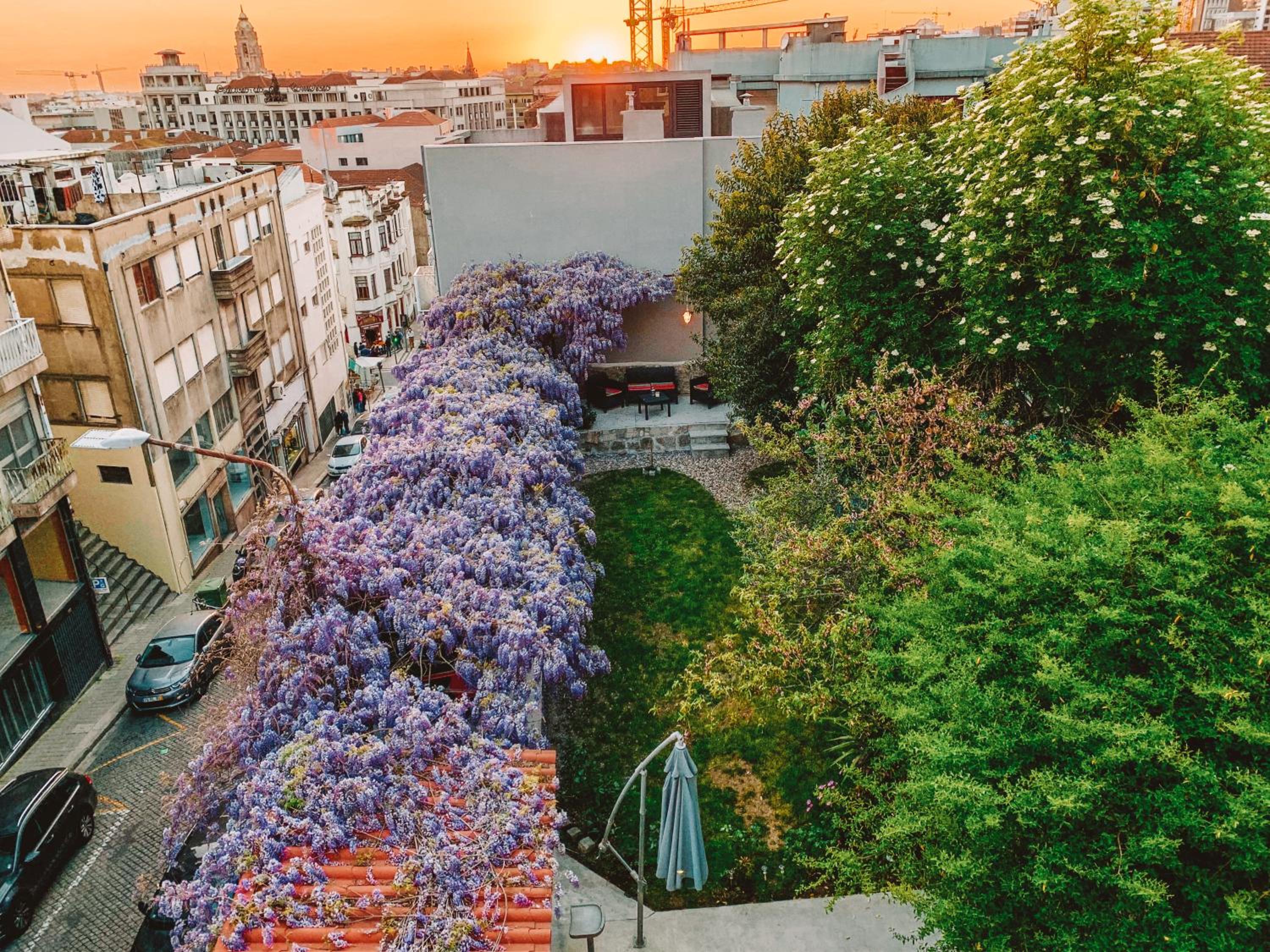 Urban Garden Porto Central Hostel 38