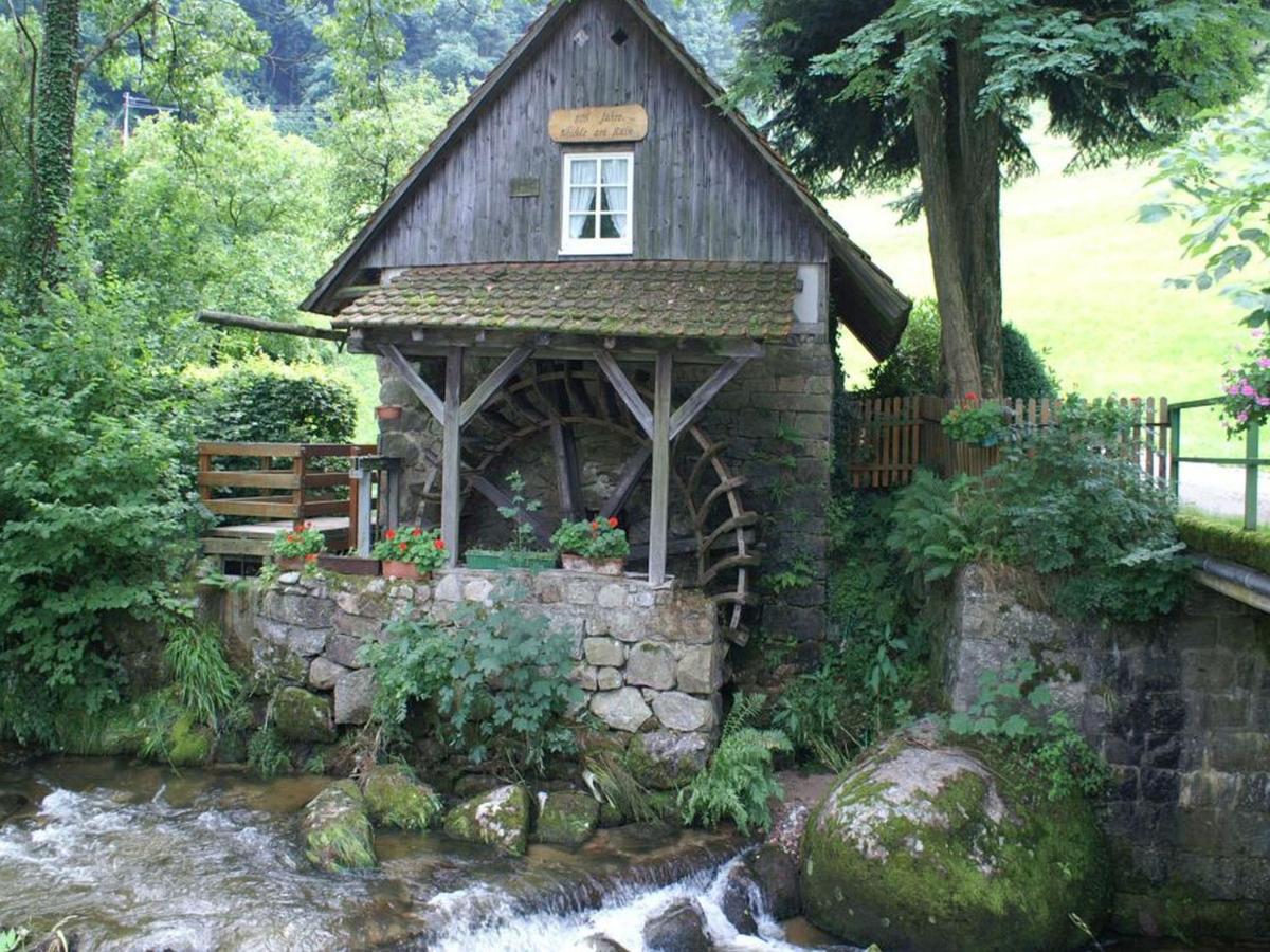 Photo 15