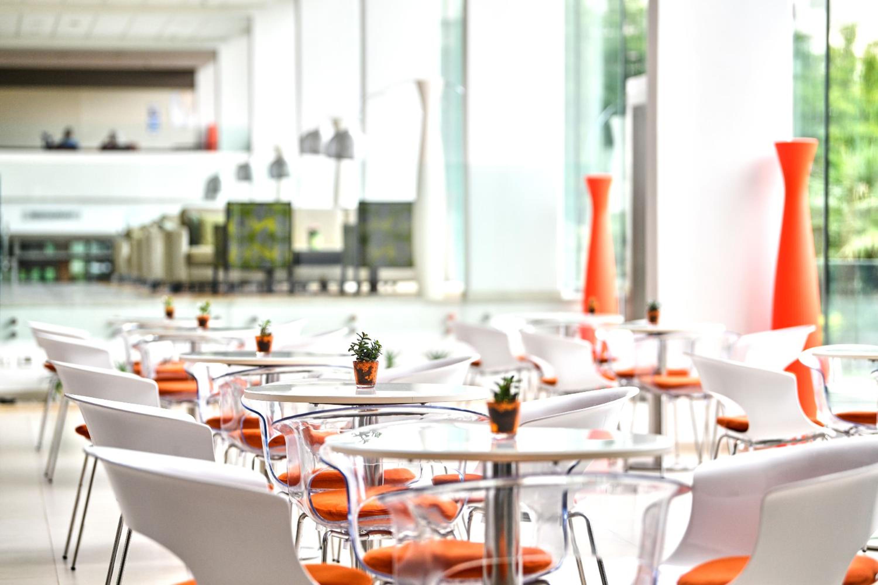 Hotel Mediteran Plava Laguna - Property Image 6