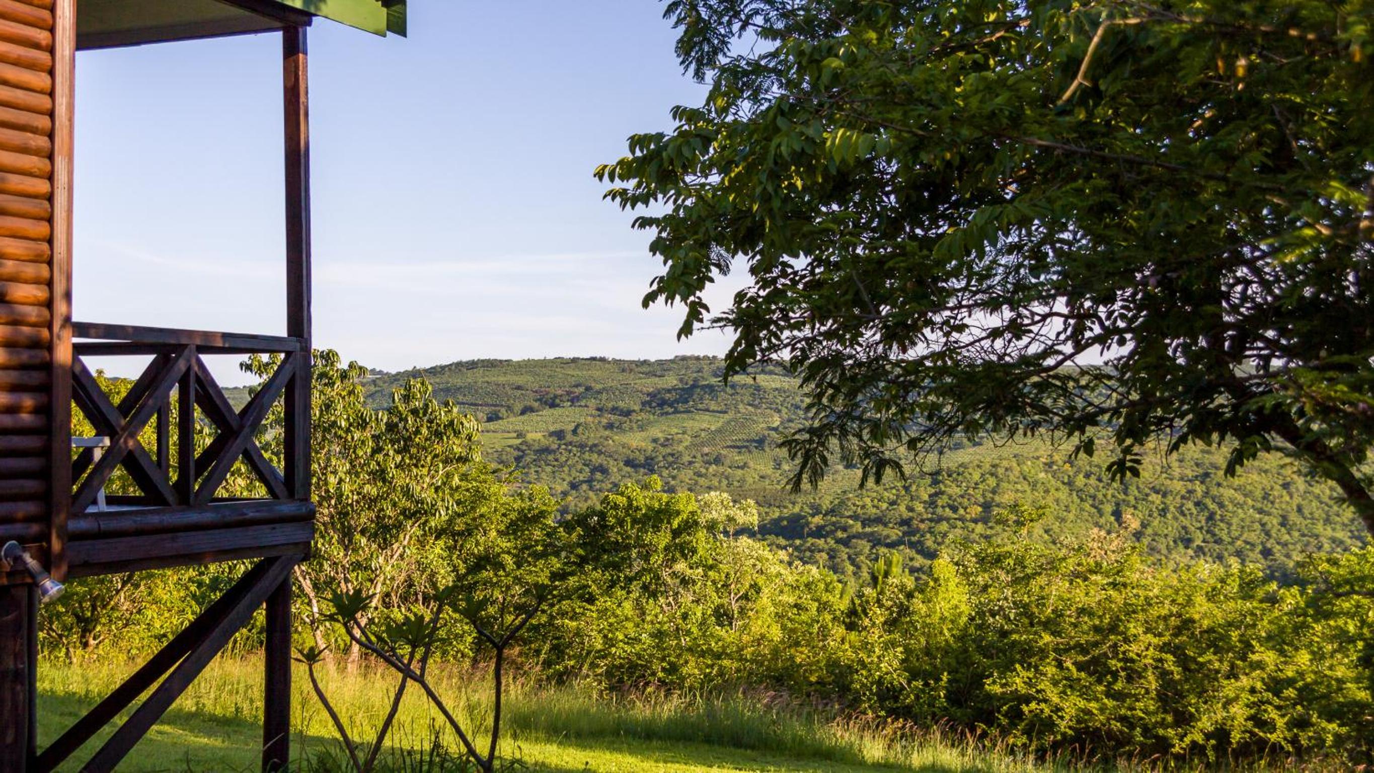 Hazyview Vacations - Cuckoo Ridge Country Retreat - Property Image 24