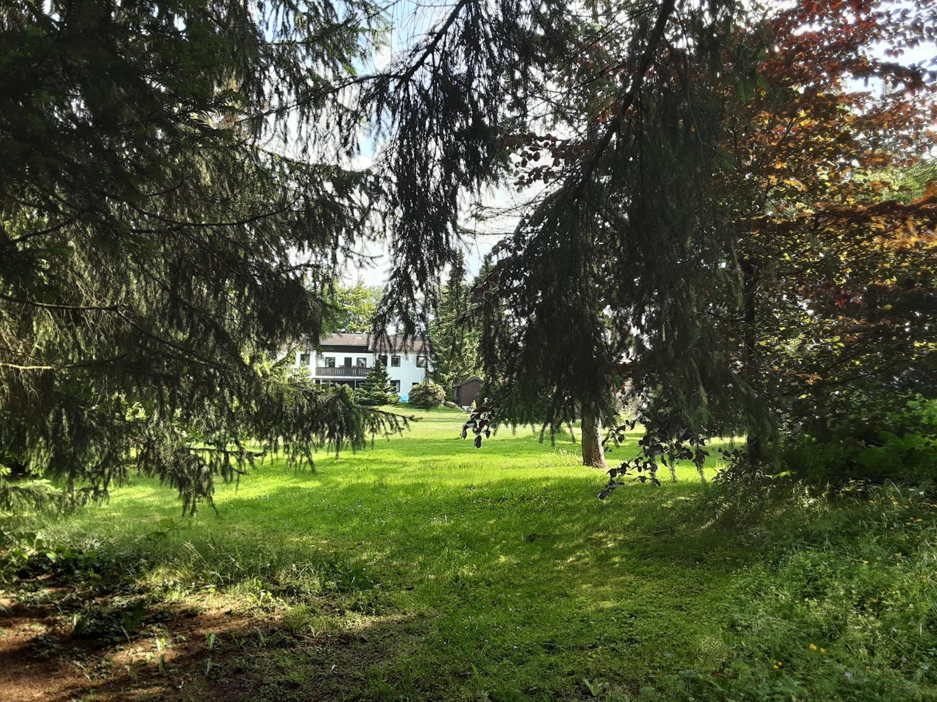 Hochwald Maxi en Bad Sachsa
