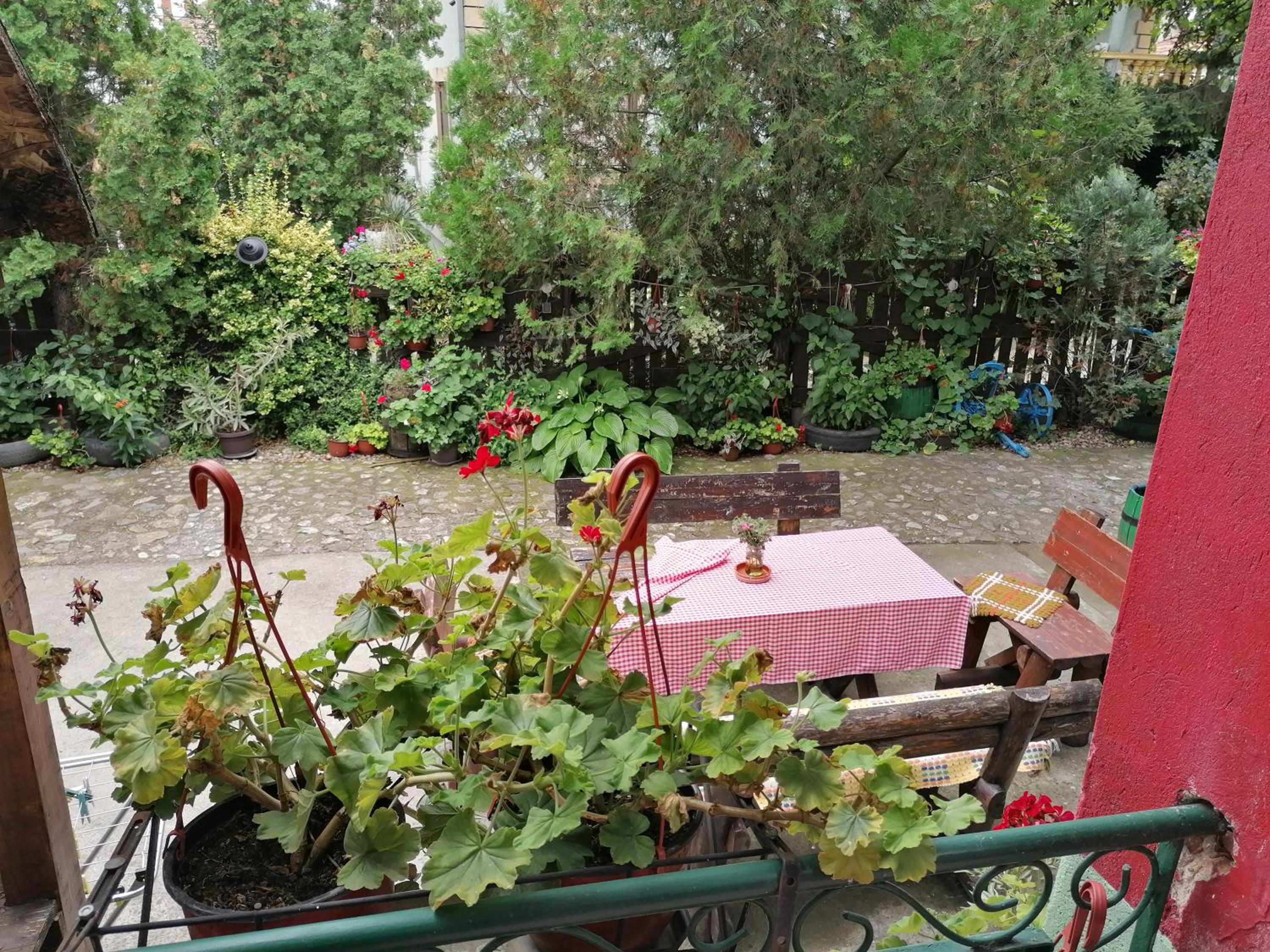 Photo 7