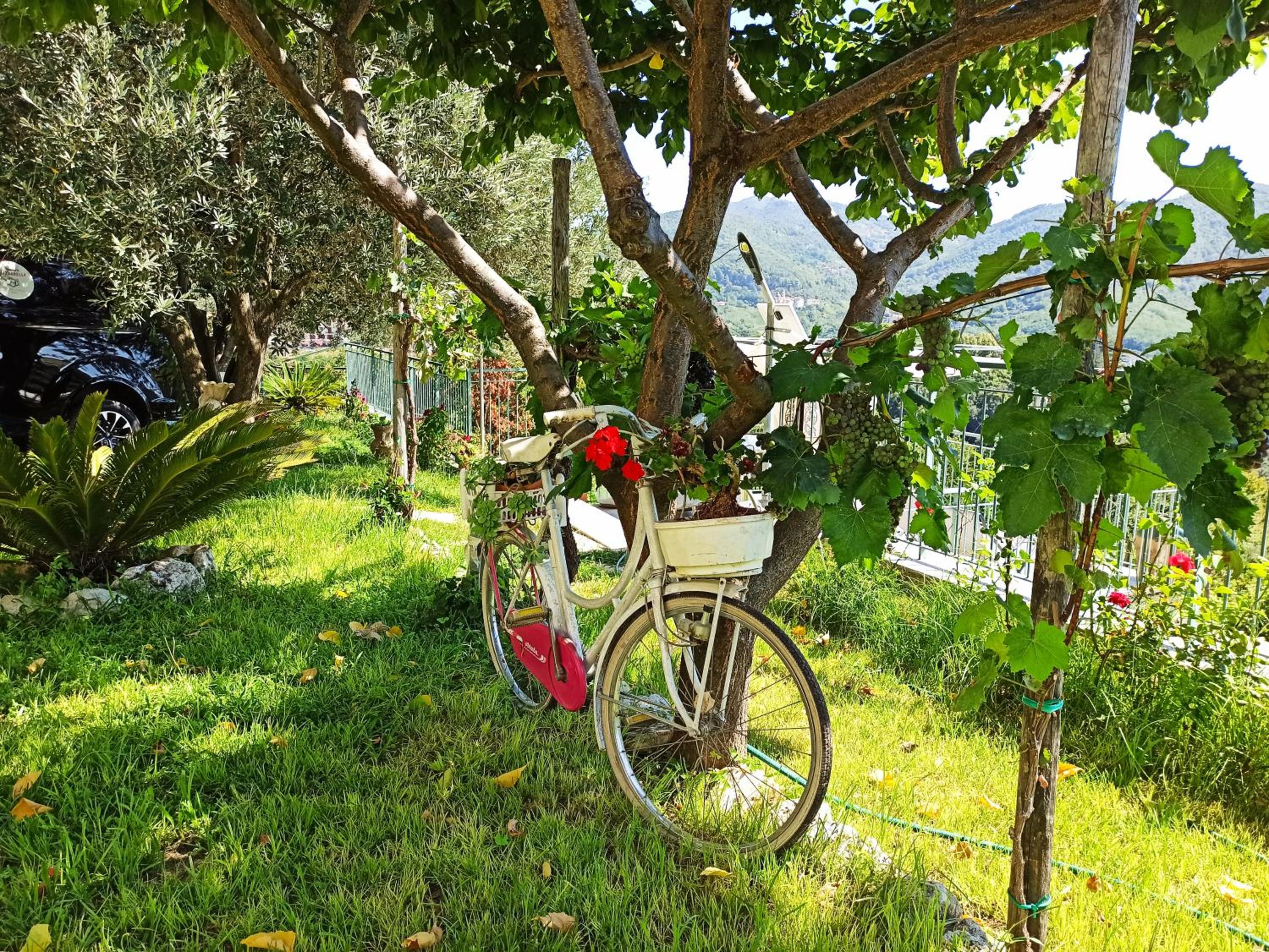 other