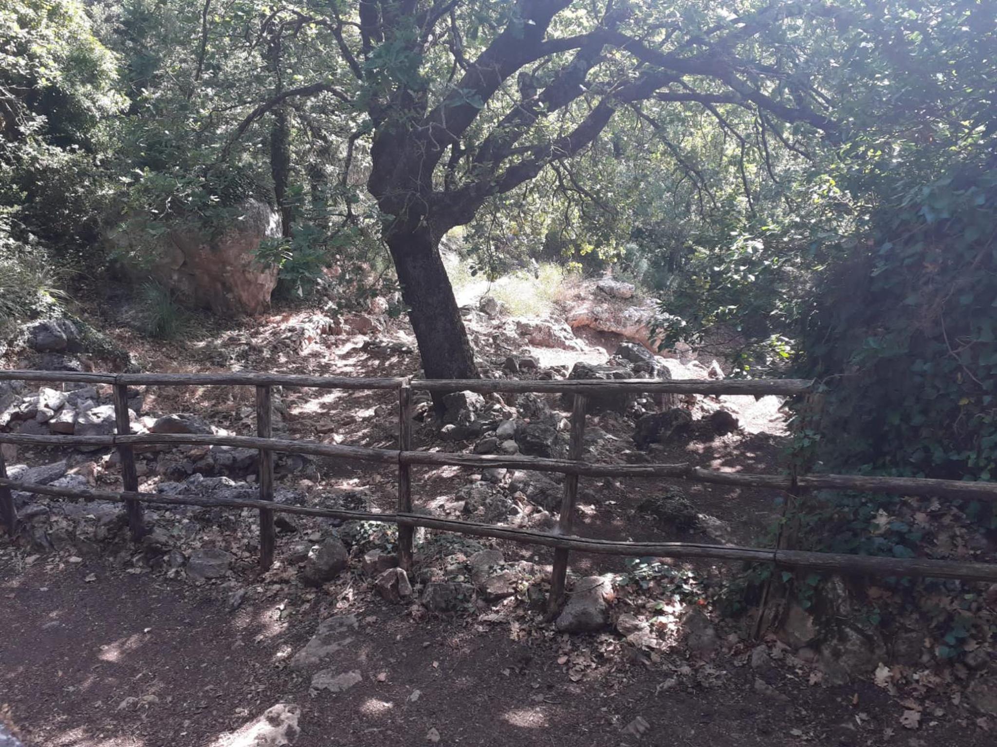 GUEST HOUSE PIANA DEGLI ALBANESI, photo 10