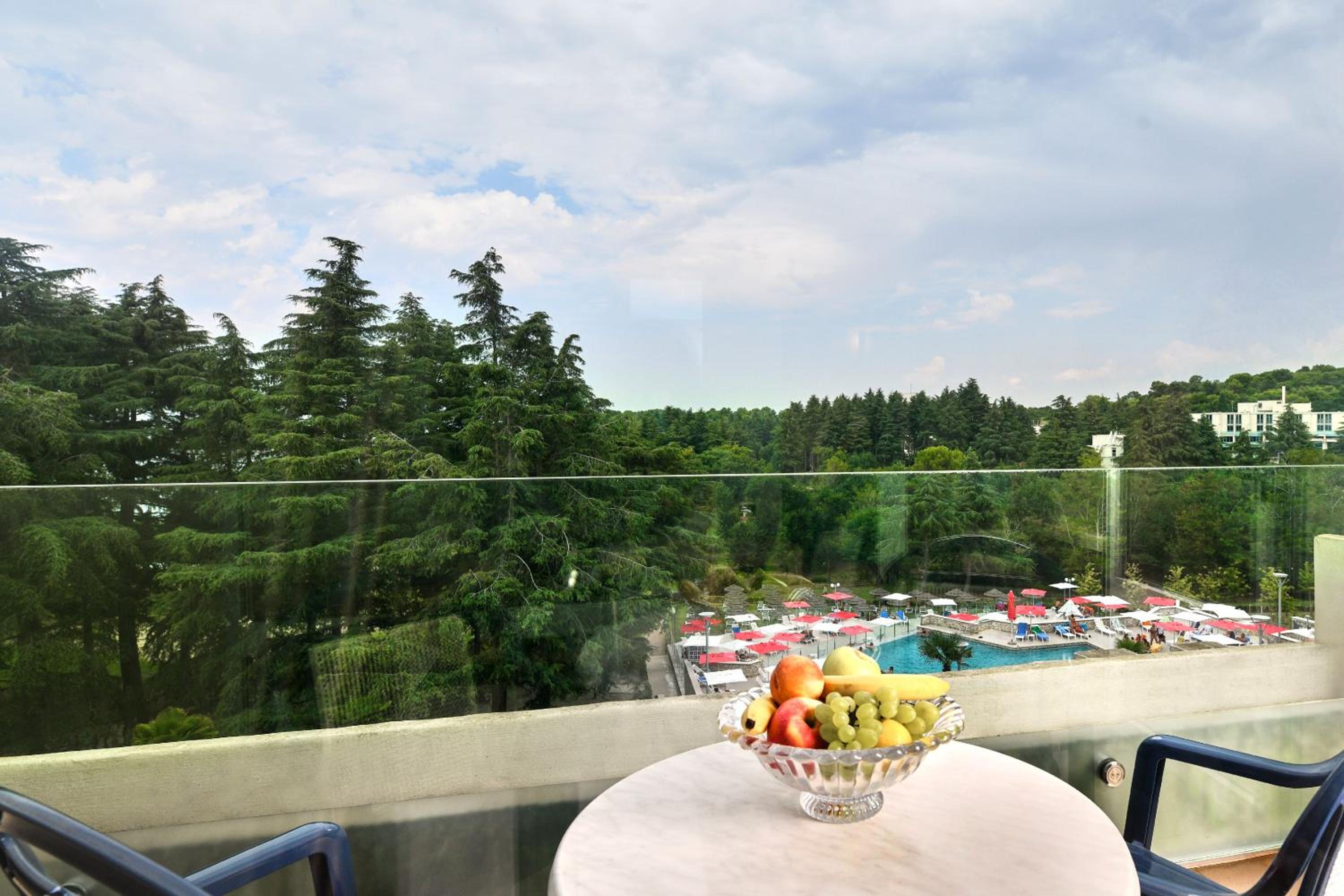 Hotel Mediteran Plava Laguna - Property Image 46