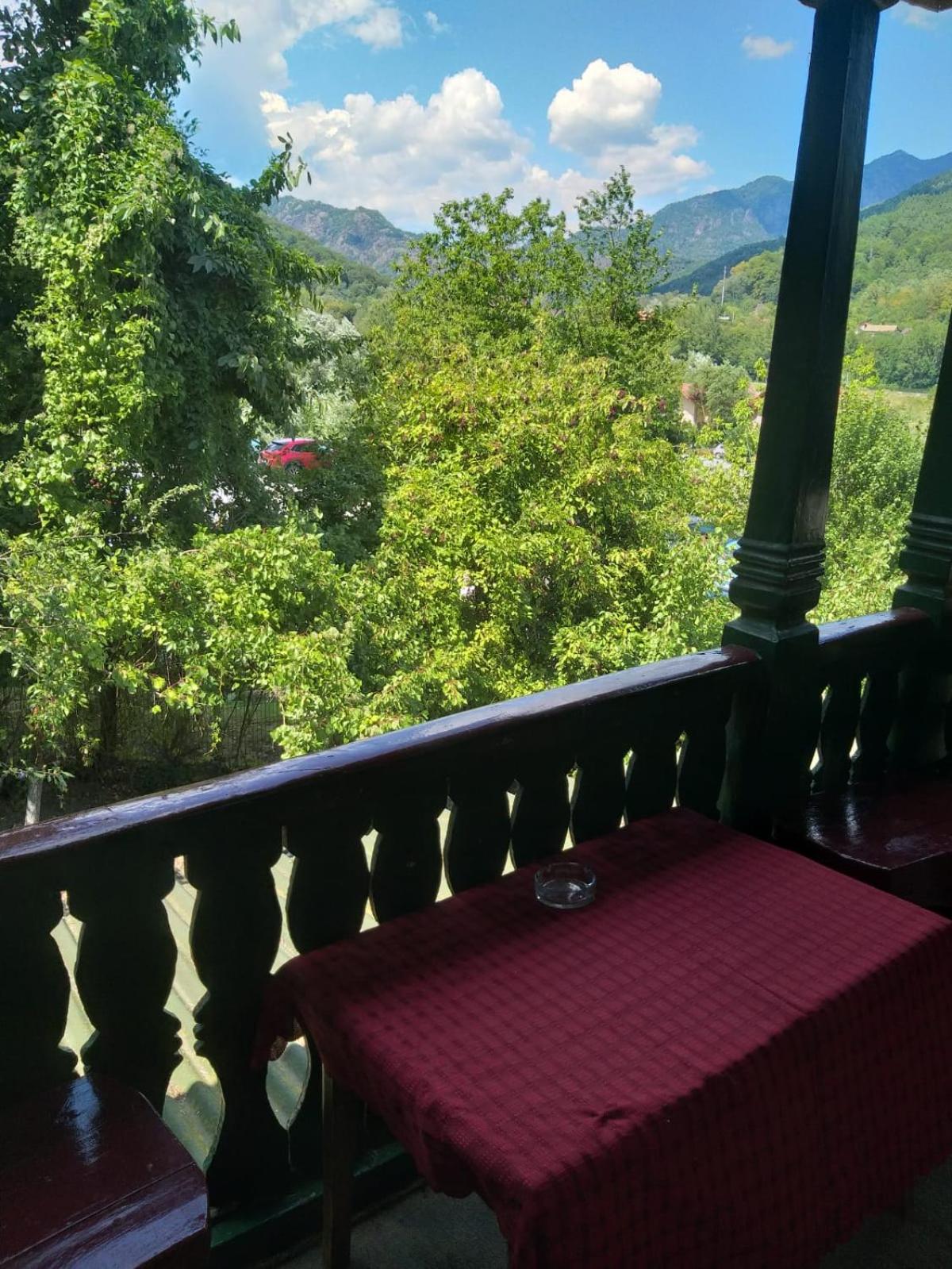 Vila Ana Lăcrămioara Concept view 2